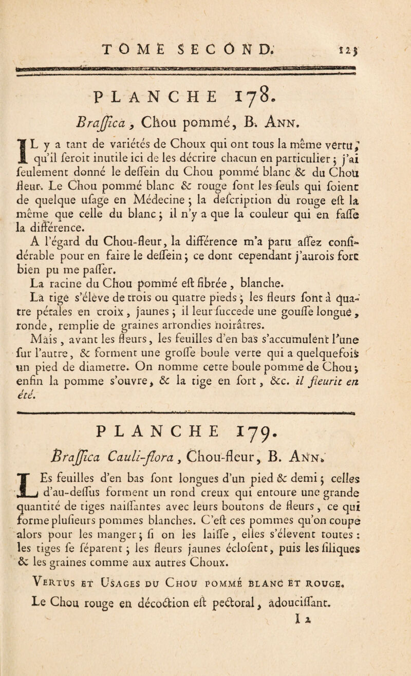 Î2| PLANCHE I78. BraJJîca, Chou pommé, B. Ann» IL y a tant de variétés de Choux qui ont tous la même vérru^ quil feroit inutile ici de les décrire chacun en particulier ; j’ai feulement donné le deflein du Chou pommé blanc 6c du Choti Heur, Le Chou pommé blanc 3c rouge font les feuls qui foienc de quelque ufage en Médecine ; la defcription du rouge eft la même que celle du blanc; il n’y a que la couleur qui en fade la différence. A l’égard du Chou-fleur, la différence m’a paru affez confît dérable pour en faire le deffein; ce donc cependant j’aurois fore bien pu me pafler. La racine du Chou pommé eftfîbrée , blanche. Là tige s’élève de trois ou quatre pieds ; les fleurs font à qua¬ tre pétales en croix, jaunes ; il leur fuccede une goufle longué , ronde, remplie de graines arrondies noirâtres. Mais, avant les fleurs, les feuilles d’en bas s’accumulent Tune fur l’autre, & forment une grofle boule verte qui a quelquefois un pied de diamètre. On nomme cette boule pomme de Chou ; enfin la pomme s’ouvre * 3c la tige en fort, &c. il fleurit en / / ete. PLANCHE I79. Brajjlca Cauli-flora, Chou-fleur, B. Ann* LEs feuilles d’en bas font longues d’un pied ôc demi ; celles d’au-defliis forment un rond creux qui entoure une grande quantité de tiges naiflantes avec leurs boutons de fleurs, ce qui forme plufieurs pommes blanches. C’eft ces pommes qu’011 coupe alors pour les manger; h on les laiffe , elles s’élèvent toutes: les tiges fe féparent ; les fleurs jaunes éclofent, puis les filiques ôc les graines comme aux autres Choux. Vertus et Usages du Chou pommé blanc et rouge. Le Chou rouge en décodion eft pedoral, àdouciflant. I 2,