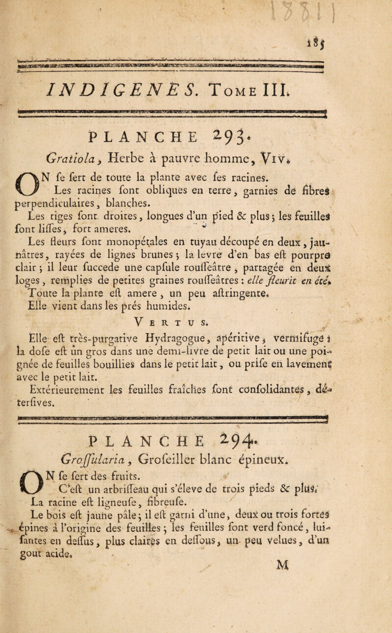 INDIGENES. Tome III, PLANCHE 2.93. Gratiola, Herbe à pauvre homme, Viv* N fe lerr de toute la plante avec fes racines. Les racines font obliques en terre, garnies de fibres perpendiculaires, blanches. Les tiges font, droites, longues d’un pied & plus > les feuillet font liftes, fort anieres. ~ Les fleurs font monopétales en tuyau découpé en deux, jau¬ nâtres, rayées de lignes brunes -, la lèvre d’en bas eft pourpré clair -, il leur fuccede une capfule roufleâtre , partagée en demâ loges, remplies de petites graines roufteâtres : elle fleurit en été* Toute la plante efl amere , un peu aflringente» Elle vient dans les prés humides. Vertus. Elle eft très-purgative Kydragogue, apéritive, vermifuges la dofe eft un gros dans une demi-livre de petit lait ou une poL gnée de feuilles bouillies dans le petit lait, ou prife en lavemenÊ avec le petit lait. Extérieurement les feuilles fraîches font confondantes, dé^ ierflves. PLANCHE 2.94. Grcffiilaria, Grofeiller blanc épineux. ON fe fert des fruits. T C’eft un arbrifleau qui s’élève de trois pieds Sc ply&' La racine eft ligneufe, fibreufe. Le bois eft jauhe pâle ; il eft garni d’une, deux ou trois fortes épines à l’origine des feuilles ; les feuilles font verd foncé, En¬ fantes en defliis, plus claires en deflous, un peu velues, d’un goût acide* . ..VA