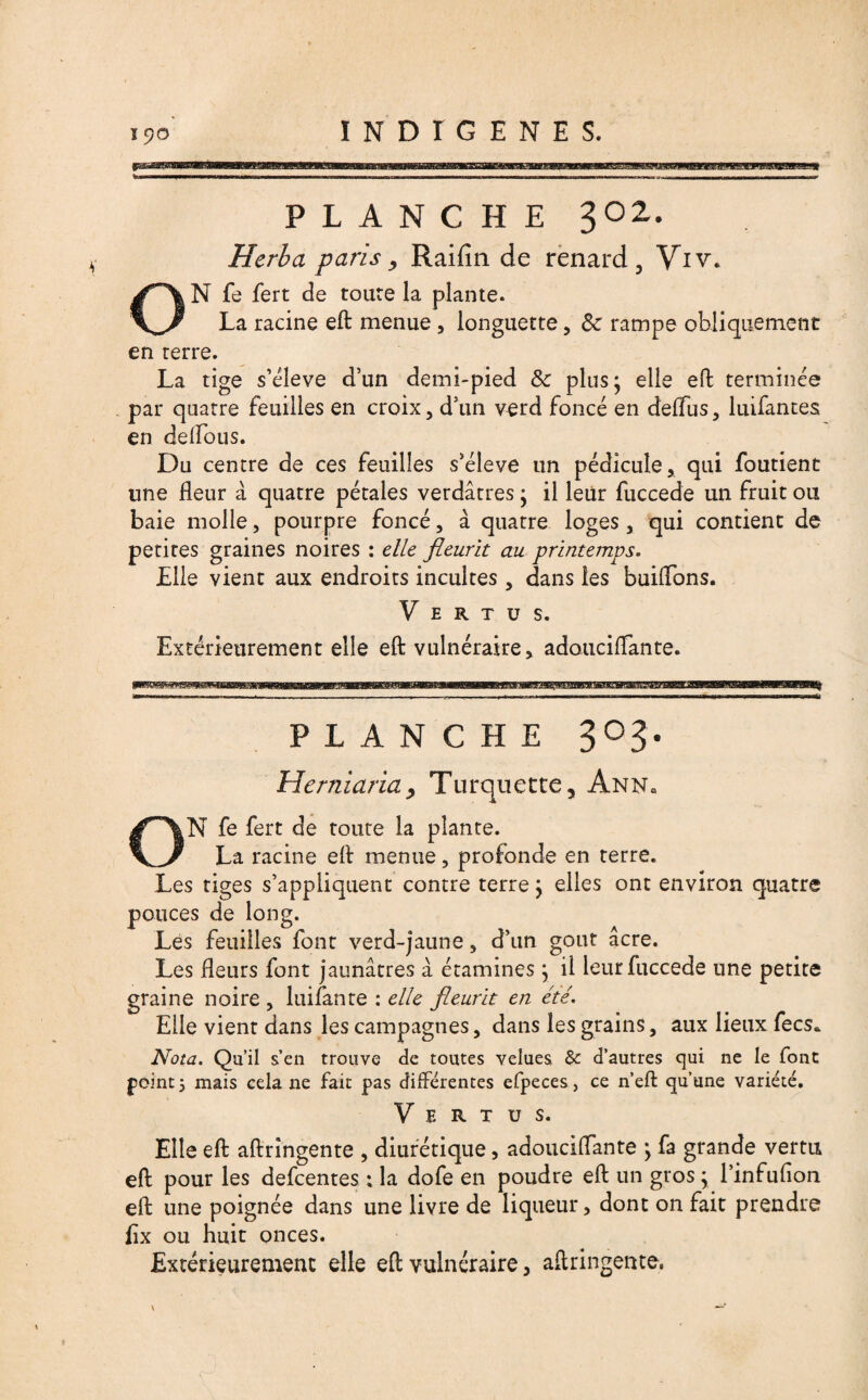 INDIGENES. PLANCHE 302. Herba paris, Raifin de renard 3 Viv. N fe fert de toute la plante. La racine eft menue, longuette , 3c rampe obliquement en terre. La tige s’élève d’un demi-pied 3c plus; elle efb terminée par quatre feuilles en croix , d’un verd foncé en deffus, luifantes en deiFous. Du centre de ces feuilles s’élève un pédicule, qui foutient une fleur à quatre pétales verdâtres ; il leur fuccede un fruit ou baie molle, pourpre foncé, à quatre loges, qui contient de petites graines noires : elle fleurit au printemps. Elle vient aux endroits incultes , dans les buiflons. Vertus. Extérieurement elle eft vulnéraire, adouciflante. planche 303. Herniaria , Turquette, Ann. ON fe fert de toute la plante. La racine eft menue, profonde en terre. Les tiges s’appliquent contre terre ; elles ont environ quatre pouces de long. Les feuilles font verd-jaune, d’un goût acre. Les fleurs font jaunâtres â étamines ; il leur fuccede une petite graine noire , luifante : elle fleurit en été. Elle vient dans les campagnes, dans les grains, aux lieux fecs. Nota. Qu’il s’en trouve de toutes velues & d’autres qui ne le font peints mais cela ne fait pas différentes efpeces, ce n’eft qu’une variété. Vertus. Elle eft aftrîngente , diurétique, adouciflante ; fa grande vertu eft pour les defcentes ; la dofe en poudre eft un gros ; l’infufion eft une poignée dans une livre de liqueur, dont on fait prendre flx ou huit onces. Extérieurement elle eft vulnéraire, aftringente,