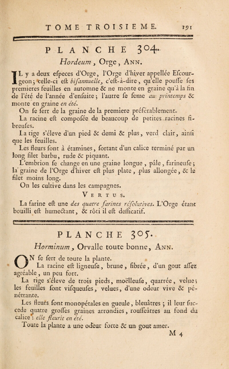 PLANCHE 3°4- Hordeum 3 Orge , Ann. IL y a deux efpeces d’Orge, l’Orge d’hiver appellée Efcour- geonj celle-ci efl bifannuelle ^ c’efl- à-dire , qu’elle poulie fes premières feuilles en automne 8c ne monte en graine qu’à la fin de l’été de l’année d’enfuite ; l’autre fe feme au printemps 8c monte en graine en été. On fe ferc de la graine de la première préférablement. La racine efl compofée de beaucoup de petites^racines fi- breufes. La tige s’élève d’un pied 8c demi 8c plus, verd clair, ainiî que les feuilles. Les fleurs font à étamines, fortant d’un calice terminé par un long filet barbu, rude 8c piquant. L’embrion fe change en une graine longue , pale , farineufe ; la'graine de l’Orge d’hiver eft plus plate, plus allongée, 8c le filet moins long. On les cultive dans les campagnes. Vertus. La farine efl: une des quatre farines réfolutives. L’Orge étant bouilli efl: hume&ant, 8c rôti il efl: deflicatif. o PLANCHE 30 J. Ho rminum > Orvalle toute bonne 3 Ann. N fe ferr de toute la plante. La racine efl: ligneufe, brune, fibrée, d’un goût allez agréable , un peu fort. La tige s’élève de trois pieds, moclleufe, quarrée, velue ; les feuilles font vifqueufes, velues, d’une odeur vive 8c pé¬ nétrante. Les fleurs font monopétales en gueule, bleuâtres • il leur fuc- cede quatre grofles graines arrondies, roulfeâtres au fond du calice : elle fleurit en été. Toute la plante a une odeur forte 8c un goût amer.