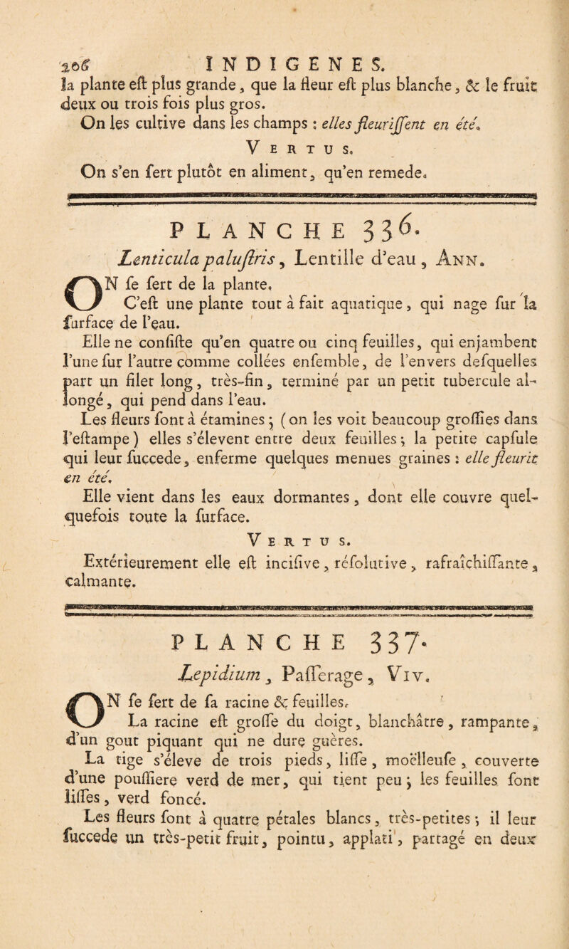 INDIGENES. la plante eft plus grande, que la Heur efb plus blanche , & le fruit deux ou trois fois plus gros. On les cultive dans les champs ; elles fleur ijflent en été. V E R t u s. On s’en fert plutôt en aliment, qu’en remede. PLANCHE 336- Lenticulapalujlris, Lentille ci’eau 3 Ann. ON fe fert de la plante. C’eft une plante tout à fait aquatique, qui nage fur îa furface de l’eau. Elle ne confifte qu’en quatre ou cinq feuilles, qui enjambent l’une fur l’autre comme collées enfemble, de l’envers defquelles part un filer long, très-fin, terminé par un petit tubercule al¬ longé, qui pend dans l’eau. Les Heurs font à étamines * ( on les voit beaucoup groflîes dans Leftampe ) elles s’élèvent entre deux feuilles -, la petite capfule qui leurfuccede, enferme quelques menues graines : elle fleurit en été. Elle vient dans les eaux dormantes, dont elle couvre quel¬ quefois toute la furface. Vertus. Extérieurement elle eft incifive, réfolutive, rafraichiflante s calmante. PLANCHE 3 3 7- Lepidium 3 Pafferage, Viv. ON fe fert de fa racine ôç feuilles, La racine eft greffe du doigt, blanchâtre, rampante, d’un goût piquant qui ne dure gtières. La tige s’élève de trois pieds, lifte, moélleufe , couverte d’une poufîiere verd de mer, qui tient peu } les feuilles font liftes, verd foncé. Les fleurs font â quatre pétales blancs, très-petites -, il leur fuccede un très-petit fruit, pointu, applati, partagé en deux