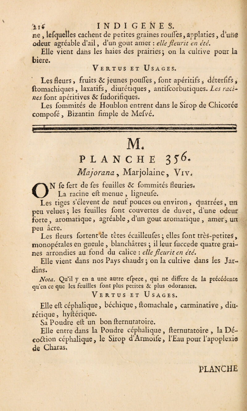 ne, lefquelles cachent de petites graines roufles, âpplaties, d’ufiê odeur agréable d’ail, d’un goût amer : elle fleurit en été. Elle vient dans les haies des prairies ; on la cultive pour la biere. Vertus et Usages. Les fleurs , fruits 8c jeunes pouffes , font apéritifs * déterfifs, ftomachiques, laxatifs, diurétiques, antifcorbutiques. Les raci¬ nes font apéritives 8c fudorifiques. Les fommités de Houblon entrent dans le Sirop de Chicorée compofé, Bizantin Ample de Mefvé. planche 3 $6, Majorana 5 Marjolaine, Viv* ON fe fert de fes feuilles 8c fommités fleuries* La racine eft menue , ligneufe. Les tiges s’élèvent de neuf pouces ou environ, quarrées, tm peu velues j les feuilles font couvertes de duvet, d’une odeur forte , aromatique, agréable, d’un goût aromatique , amer, un peu âcre. Les fleurs fortent de têtes écailieufes ; elles font très-petites, monopétales en gueule , blanchâtres ; il leur fuccede quatre grai¬ nes arrondies au fond du calice : elle fleurit en été. Elle vient dans nos Pays chauds * on la cultive dans les Jar¬ dins. Nota. Qu’il y en a une autre efpece ? qui ne différé de la précédents quen ce que les feuilles font plus petites & plus odorantes. Vertus et Usages. Elle eft céphalique, béchique, ftomachale, carminative , diu¬ rétique , hyftérique. Sa Poudre eft un bon fternutatoire. Elle entre dans la Poudre céphalique, fternutatoire , la Dé- coétion céphalique, le Sirop d’Armoife, l’Eau pour l’apoplexie de Charas, PLANCHE