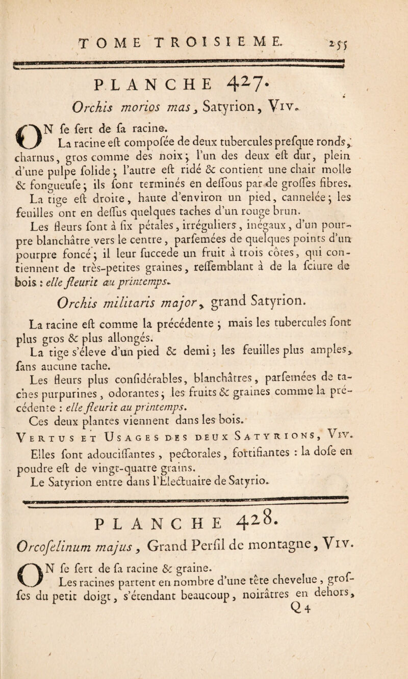 255 PLANCHE 427* *• Orchis morios mas > Satyrion, Viv* ON fe fert de fa racine. La racine eft compofée de deux tubercules prefque ronds, charnus, gros comme des noix; l’un des deux eft dur, plein d’une pulpe folide ; l’autre eft ridé & contient une chair molle & fongueufe ; ils font terminés en deffous par de groiles fibres. La tige eft droite, haute d’environ un pied, cannelée; les feuilles ont en deftus quelques taches d’un rouge brun. Les Heurs font à lix pétales, irréguliers, inégaux, d’un pour¬ pre blanchâtre vers le centre , parfemées de quelques points d’un pourpre foncé; il leur fuccede un fruit à trois côtes, qui con¬ tiennent de très-petites graines, reffemblant à de la fciure de bois : elle fleurit au printemps. Orchis militaris major y grand Satyrion. La racine eft comme la précédente ; mais les tubercules font plus gros &: plus allongés. La tige s’élève d’un pied <3e demi; les feuilles plus amples, fans aucune tache. Les Heurs plus confidérables, blanchâtres, parfemees déta¬ chés purpurines , odorantes; les fruits & graines comme la pré¬ cédente : elle fleurit au printemps. Ces deux plantes viennent dans les bois. Vertus et Usages des deux Satyrions, Viv, Elles font adouciflantes, pectorales, fortifiantes : la dofe en poudre eft de vingt-quatre grains. Le Satyrion entre dans l’Eleétuaire de Satyrio. PLANCHE 42^‘ Orcofelinum rnajus, Grand Perfil de montagne, Viv* ON fe fert de fa racine & graine. Les racines partent en nombre d’une tete chevelue , gtof- fes du petit doigt, s’étendant beaucoup, noirâtres en dehors, Q4 é