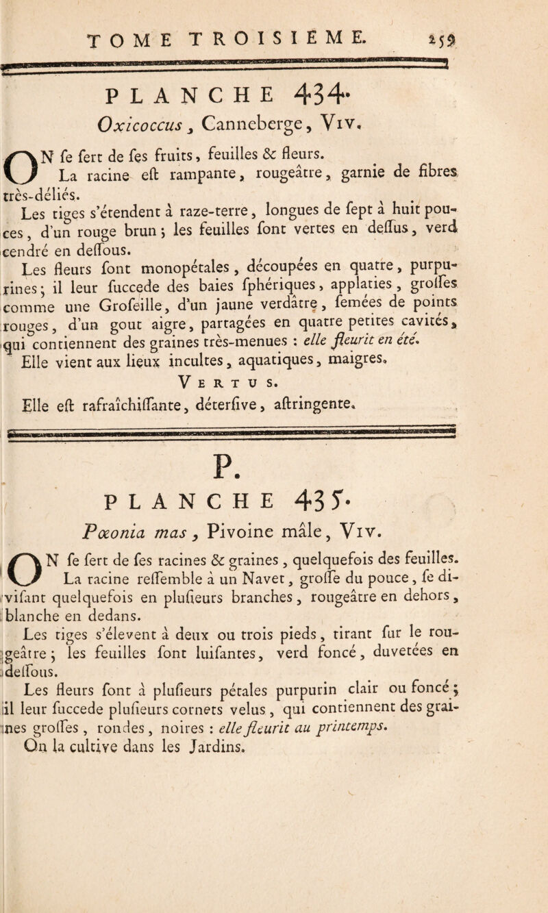 PLANCHE 434* Oxicoccus , Canneberge, Viv. ON fe ferc de fes fruits, feuilles & fleurs. La racine eft rampante, rougeâtre, garnie de fibres très-déliés. v Les tiges s’étendent à raze-terre , longues de fept a huit pou¬ ces , d’un rouge brun -, les feuilles font vertes en deflTus, verd cendré en deflous. Les fleurs font monopétales , découpées en quatre, purpu¬ rines ; il leur fuccede des baies fpheriques, applaties, groifes comme une Grofeille, d’un jaune verdatrç, femees de points rouges, d’un goût aigre, partagées en quatre petites cavités„ qui contiennent des graines très-menues : elle fleurit en etc* Elle vient aux lieux incultes, aquatiques, maigres» Vertus. Elle eft rafraîchiflante, déterfive, aftringente* P. PLANCHE 43 L Pœonia mas , Pivoine mâle, Viv. ON fe fert de fes racines & graines , quelquefois des feuilles. La racine reflemble à un Navet, groife du pouce , fe di- vifant quelquefois en plufieurs branches, rougeâtre en dehors, blanche en dedans. Les tiges s’élèvent â deux ou trois pieds, tirant fur le rou¬ geâtre ; les feuilles font luifantes, verd foncé, duvetees en .i de flous. Les fleurs font â plufieurs pétales purpurin clair ou fonce; iil leur fuccede plufieurs cornets velus, qui contiennent des grai- ines groifes, rondes, noires : elle fleurit au printemps. Qn la cultive dans les Jardins.