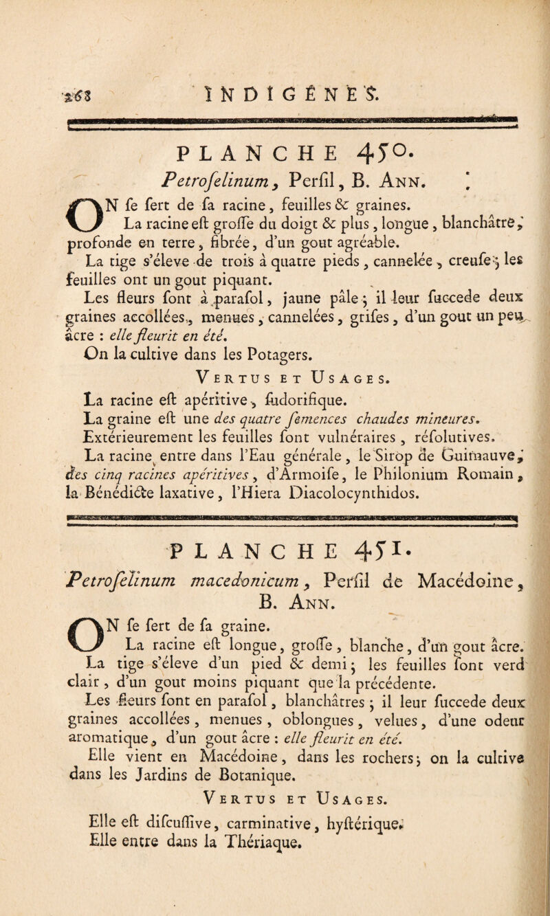 INDIGÈNE?. •> w— * J PLANCHE 4JO. Petrofelinum, Perfil, B. Ann. \ ON fe fert de fa racine, feuilles & graines. La racineeft groffe du doigt & plus , longue , blanchâtre*' profonde en terre, fibrée, d’un goût agréable. La tige s’élève de trois à quatre pieds , cannelée * creufe;*3 les feuilles ont un goût piquant. Les fleurs font à,parafol, jaune pâle * il leur faccede deux graines accollées., menues, cannelées, gtifes * d’un goût un pei^ âcre : elle fleurit en été. On la cultive dans les Potagers. Vertus et Usages. La racine eft apéritive, fudorifique. La graine eft une des quatre femences chaudes mineures. Extérieurement les feuilles font vulnéraires , réfolutives. La racine entre dans l’Eau générale, le Sirop de Guimauve,' âes cinq racines apéritives, d’Armoife, le Philonium Romain, la Bénédiéfce laxative, l’Hiera Diacolocynthidos. P LANCHE 45'I* Petrofelinum macedonicum, Periîl de Macédoine B. Ann. ON fe fert de fa graine. La racine eft longue, greffe, blanche, d’un goût âcre. La tige s’élève d’un pied & demi* les feuilles font verd^ clair, d’un goût moins piquant que la précédente. Les fleurs font en parafol, blanchâtres * il leur fuccede deux graines accollées , menues , obîongues, velues, d’une odeur aromatique, d’un goût âcre : elle fleurit en été. Elle vient en Macédoine, dans les rochers\ on la cultive dans les Jardins de Botanique. Vertus et Usages. Elle eft difcuflive, carminative, hyftérique* Elle entre dans la Thériaque.