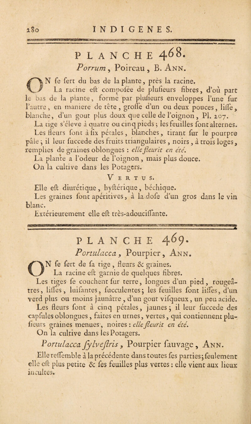 / î8o INDIGENES, mæs3m^awBtMmKJBmsÊil&BSnB&BM3æEes&£tx**st&atsmm&?i!3æmfM^ms3wm PLANCHE 4^^* Porrum , Poireau 5 B. Ann. \ N fe fert du bas de la plante, près la racine. La racine eft compofée de plusieurs fibres, d’où part le bas de la plante, forme par plufieurs enveloppes Tune fur Fautre, en maniéré de tète, grofte d’un ou deux pouces, lifte, blanche, d’un goût plus doux que celle de l’oignon , PI. 207. La tige s’élève à quatre ou cinq pieds; les feuilles font alternes. Les fieurs font à fix pétales, blanches, tirant fur le pourpre pâle ^ il leur fuccede des fruits triangulaires , noirs , à trois loges , rempiles de graines oblongues : elle fleurît en été'. La plante a l’odeur de l’oignon, mais plus douce. On la cultive dans les Potagers. V E R T U S. Elle eft diurétique, byftérique, bachique. Les graines font apéritives, à ladofe d’un gros dans le vin blanc. Extérieurement elle eft très-adouciflante. PLANCHE 4 69. Portulacca, Pourpier, Ann. ON fe fert de fa tige, fieurs & graines. La racine eft garnie de quelques fibres. Les tiges fe couchent fur terre, longues d’un pied, rougeâ¬ tres, liftes, luifantes, fuceulentesj les feuilles font liftes, d’un verd plus ou moins jaunâtre , d’un goût vifqueux, un peu acide. Les fleurs font à cinq pétales, jaunes• il leur fuccede des capfules oblongues , faites en urnes, vertes, qui contiennent plu¬ fieurs graines menues', noires : elle fleurit en été. On la cultive dans les Potagers. Portulacca fylvefiris > Pourpier fauvage , Ann. Elle reflembîe à la précédente dans toutes fes parties $ feulement elle eft plus petite & fes feuilles plus vertes : elle vient aux lieux incultes.