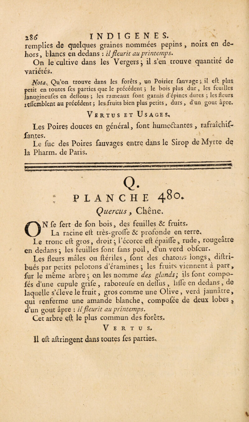 remplies de quelques graines nommées pépins , noirs en de¬ hors , blancs en dedans : il fleurit au printemps. On le cultive dans les Vergers y il s’en trouve quantité de variétés. Nota,, Qu'on trouve dans les forêts, un Poirier fauvage> ü eft plus petit en toutes fes parties que le précédent 3 le bois pins dur , les feuilles Janu^ineufes en delîbus ; les rameaux font garnis d’épines dures ; les fleurs içflemblent au précédent 3 les fruits bien plus petits, durs, d’un goût âpre. Vertus et Usages. Les Poires douces en général, font humectantes, rafraiçhif- fantes. Le fuc des Poires fauvages entre dans le Sirop de Myrte de la Pharm. de Paris. Q. ; PLANCHE 4°°- Quercus} Chêne. ON fe fert de fon bois, des feuilles & fruits. La racine elt très-grofle & profonde en terre. Le tronc eft gros, droit ^ i’écorce eft épaifle, rude, rougeâtre en dedans j les feuilles font fans poil, d’un verd obfçur. Les fleurs mâles ou ftériles, font des chaton-s longs, dîftri- bués par petits pelotons d’éramines j les fruits viennent à part, fur le meme arbre j on les nomme des glands; ils font compo- fés d’une cupule grife , raboteufe en deflus, lifte en dedans, de laquelle s’élève le fruit, gros comme une Olive, verd jaunâtre, qui renferme une amande blanche, compofée de deux lobes ? d’un goût âpre : il fleurit au printemps. Cet arbre eft le plus commun des forets. Vertus. 11 eft aftringent dans toutes fes parties».