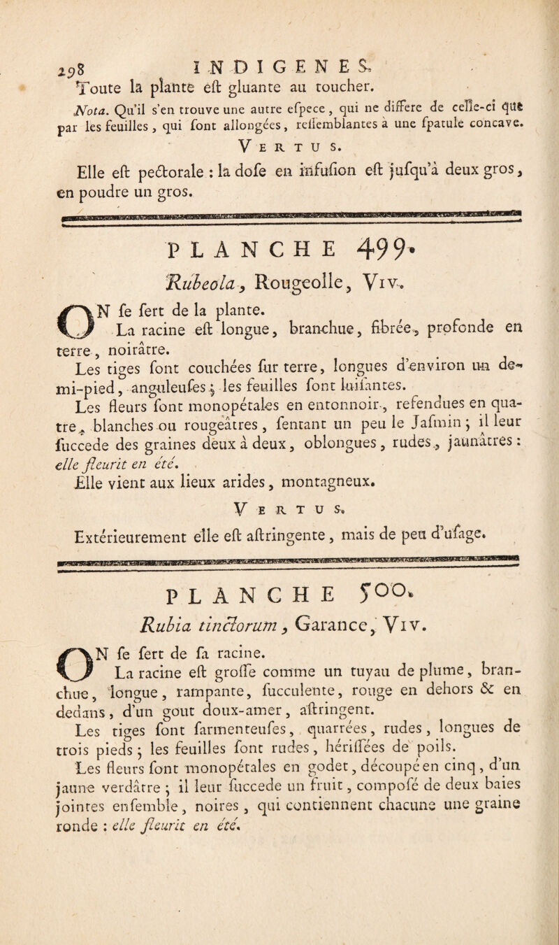 25,8 I -N D I G E N E $. Toute la plante eft gluante au toucher. Nota. Qu’il s’en trouve une autre efpece, cpii ne différé de celle-ci qttfc par les feuilles , qui font allongées, reliemblantes à une fpatule concave. Vertu s. Elle eft pedorale : la dofe en iiifufion eft jufqua deux gros, en poudre un gros. PLANCHE 499' Rubeola , Rougeolle, Viv. (VN fe fert de la plante. .J La racine eft longue, branchue, fibrée, profonde en terre, noirâtre. Les tiges font couchées fur terre, longues d’environ un de¬ mi-pied , anguleufes $ les feuilles font bifantes. Les fleurs font monopétaies en entonnoir-, refendues en qua¬ tre, blanches ou rougeâtres, fentant un peu le Jafmin ; il leur fuccede des graines deux à deux, oblongues, rudes., jaunâtres: elle fleurît en été. Elle vient aux lieux arides, montagneux. Vertus. Extérieurement elle eft aftringente , mais de peu d ufage. PLANCHE 5°°* Rubia tincîorum, Garance, Viv. ,N fe fert de fa racine. ^ La racine eft grofle comme un tuyau déplumé, bran¬ chue, longue, rampante, fucculente, rouge en dehors & en dedans, d’un goût doux-amer, aftringent. Les tiges font farmenteufes, quarrées, rudes, longues de trois pieds ; les feuilles font rudes, hériflees de poils. Les fleurs font monopétales en godet, découpé en cinq, d’un jaune verdâtre ; il leur fuccede un fruit, compofé de deux baies jointes enfemble, noires, qui contiennent chacune une graine ronde : elle fleurit en été•