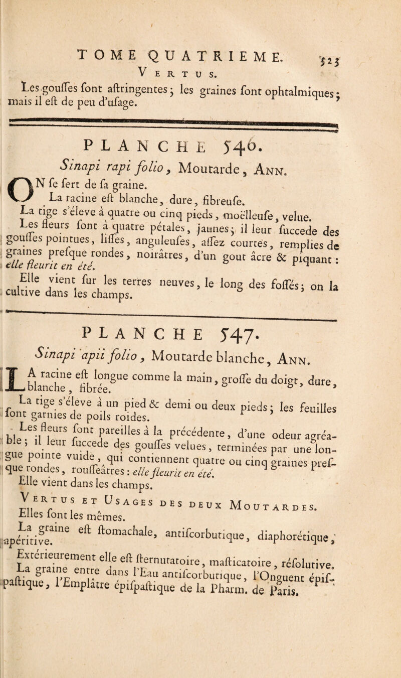 S2$ TOME QUATRIEME. V E R T U S. Les .goufles font aftringentes j les graines font ophtalmiques • niais il eft de peu d’afage. 7 PLANCHE 54Ô. Sïnapi rapi folio, Moutarde , Ann. ON fe ferc de fa graine. La racine eft blanche, dure, fibreufe» La tige s’élève à quatre ou cinq pieds, moclleufe, velue. Les fleurs font a quatre pétales, jaunes ÿ il leur fuccede des goufles pointues, lifles, anguleufes, allez courtes, remplies de ïlkTeulhlTété^’ n°lrâtreS’ d’lm §ûut âcre & Fq«ant: «Æ JT te îh»;,'. Ie |0”S » <* PLANCHE J47. Sinapi 'apu folio, Moutarde blanche, Ann. L blanche’ '“J”8” '* • «»* * **. *», & *‘-,***> * J hleLeS;n UrS r°nt ,parjllles a la précédente, d’une odeur agréa- aue’, ' i, !1 fuC,Cede dpS S°u(reS velues> terminées par une lon¬ gue pointe vuide qui contiennent quatre ou cinq graines pref- que rondes, rouflèâcres : elle fleurit en été. 1 & P Elle vient dans les champs. VeRTUs et Usages des deux Moutardes. Elles îont les mêmes. apéritife^106 ^ domacPa^e» antifcorbunque, diaphorétique, Extérieurement elle eft fternutatoire, mafticatoire, réfolurive La graine entre dans l’Eau antifcorbunque, POnguenc éii£ paftique, 1 Emplâtre épifpaftique de la Pharm. de Paris. P ’