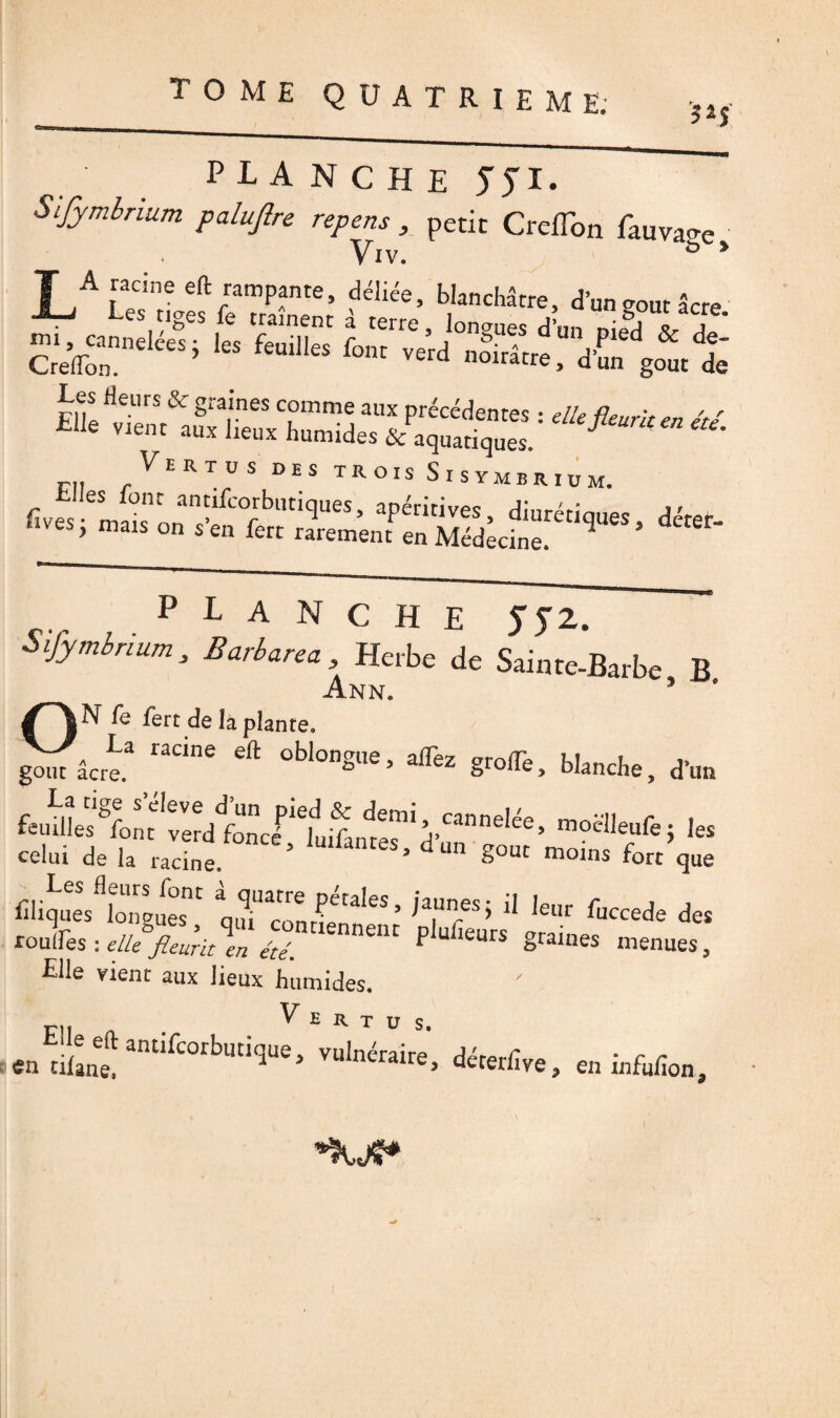 planche SS!• Sifymbrium palujîre repens , petit Crcflori fauva^e Viv. û * ¥ A racine eft rampante, déliée, blanchâtre, d’ungoutâcre JLa Les tiges fe traînent à terre, longes d’un nild J A CrefTon6 ee$ ’ feUll'eS f°nt verd n°ir«re, d’un goût de «*■*■*- * Vertus des trois Sisymbriu m. fivfs•emSsnonasWbUtiqUeS’ apéridves’ «tiques, déter¬ res, mais on s en fett rarement en Médecine. * Planche Js*. àifymbnuma Barbara, Herbe de Sainte-Barbe B Ann. * ' N fe fert de la plante. gYâcr^ radne ^ übl°nSUC’ afFez gr°^, blanche, d’un feuilles °font îlîd^once^fuifamer^’un111161^’ m0cUe,üfe > ,es celui de la racine. * Souc moins fort que ciÿ.fli“,rg«r irziy‘hs’ rrs> ,ar f««j« *. roulfes : elle fleurit en été. nnelU P ucurs graines menues. Elle vient aux lieux humides. «endBntanUfC°rbUtiqUe> vulnéraire> déterlîve, en infufion.