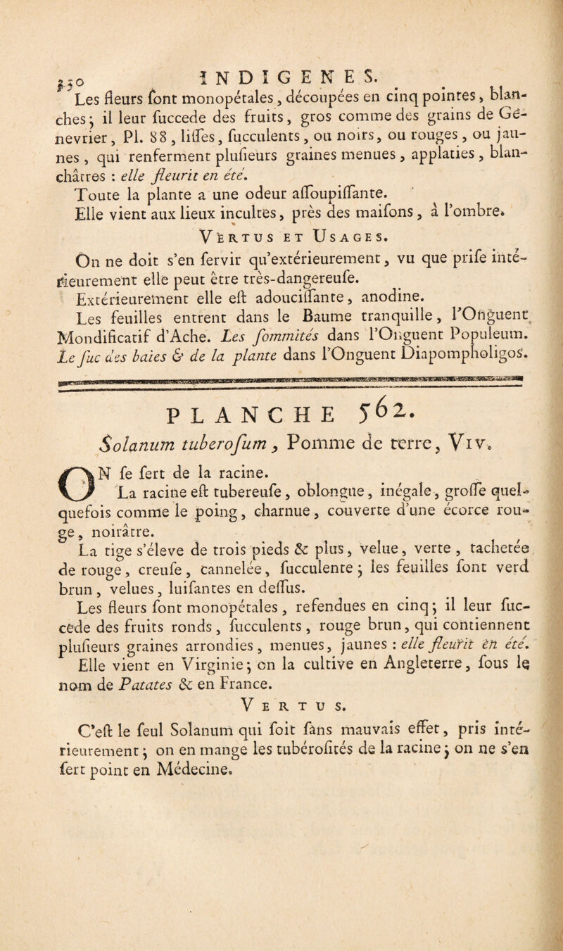 Les fleurs font monopétales, découpées en cinq pointes, blan¬ ches} il leur fuccede des fruits, gros comme des grains de Gé- nevner, PI. 88 , lifles, fucculents, ou noirs, ou rouges, ou jau¬ nes , qui renferment plufleurs graines menues, applaties , blan¬ châtres : elle fleurit en été. Toute la plante a une odeur affoupiffante. Elle vient aux lieux incultes, près des maifons, â l’ombre» Vertus et Usages. On ne doit s’en fervir qu extérieurement, vu que prife inté¬ rieurement elle peut être très-dangereufe. Extérieurement elle eA adouciffante, anodine. Les feuilles entrent dans le Baume tranquille, POnguenc Mondificatif d’Ache. Les fommités dans l’Onguent Popuieum. lefuc des baies & de la plante dans l’Onguent DiapompholigoS. PLANCHE jél. Solarium tuberofum , Pomme de terre , Viv» N fe fert de la racine. _ La racine eA tubereufe , oblongue, inégale, groffe quel¬ quefois comme le poing, charnue, couverte d’une écorce rou¬ ge, noirâtre. La tige s’élève de trois pieds & plus, velue, verte , tachetée de rouge, creufe, cannelée, fucculente j les feuilles font verd brun, velues, luifantes en defliis. Les fleurs font monopétales, refendues en cinq • il leur fuc¬ cede des fruits ronds , fucculents, rouge brun, qui contiennent plufleurs graines arrondies, menues, jaunes : elle fleurit en ete. Elle vient en Virginie; on la cultive en Angleterre, fous Iq nom de Patates de en France. Vertus. C’eA le feul Soîanum qui foit fans mauvais effet, pris inté¬ rieurement ; on en mange les tubérofltés de la racine ; on ne s’en fert point en Médecine.