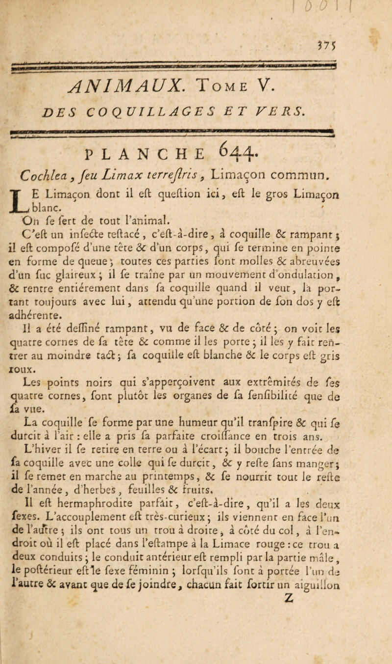 DES COQUILLAGES ET FERS. PLANCHE 644. Cochlea, feu Limax terrejlris9 Limaçon commun. LE Limaçon dont il eft queftion ici, eft le gros Limaçon blanc. On fe fert de tout l’animal. C/eft un infecte reftacé , c’eft â-dire, a coquille Sc rampant 5 il eft compofé d’une tète Sc d’un corps, qui fe termine en pointe en forme de queue; toutes ces parties font molles Sc abreuvées d’un fuc glaireux ; il fe traîne par un mouvement d’ondulation f Sc rentre entièrement dans fa coquille quand il veut, là por¬ tant toujours avec lui, attendu qu’une portion de fon dos y eft: adhérente. Il a été delTiné rampant, vu de face Sc de coté; on voit les quatre cornes de fa tète Sc comme il les porte ; il les y fait ren¬ trer au moindre taét; fa coquille eft blanche Sc le corps eft gris roux. Les points noirs qui s’apperçoivent aux extrémités de fes quatre cornes, font plutôt les organes de fa fenfibilité que de fa vue. La coquille fe forme par une humeur qu’il tranfpire Sc qui fe durcit à l’air : elle a pris fa parfaite croiftance en trois ans. L’hiver il fe retire en terre ou à l’écart; il bouche l’entrée de fa coquille avec une colle qui fe durcit, Sc y refte fans manger; il fe remet en marche au printemps, Sc fe nourrit tout le refte de T année, d'herbes, feuilles Sc fruits. Il eft hermaphrodite parfait, c’eft-à-dire , qu’il a les deux fexes. L’accouplement eft très-curieux; ils viennent en face l’un de l’autre ; ils ont tous un trou à droite, à côté du col, à l’en» droit où il eft placé dans l’eftampe à la Limace rouge :ce trou a deux conduits ; le conduit antérieur eft rempli par la partie mâle , le poftérieur eftle fexe féminin ; lorfqu’ils font à portée l’un de l’autre Sc ayant que de fe joindre^ chacun fait forcir un aiguillon