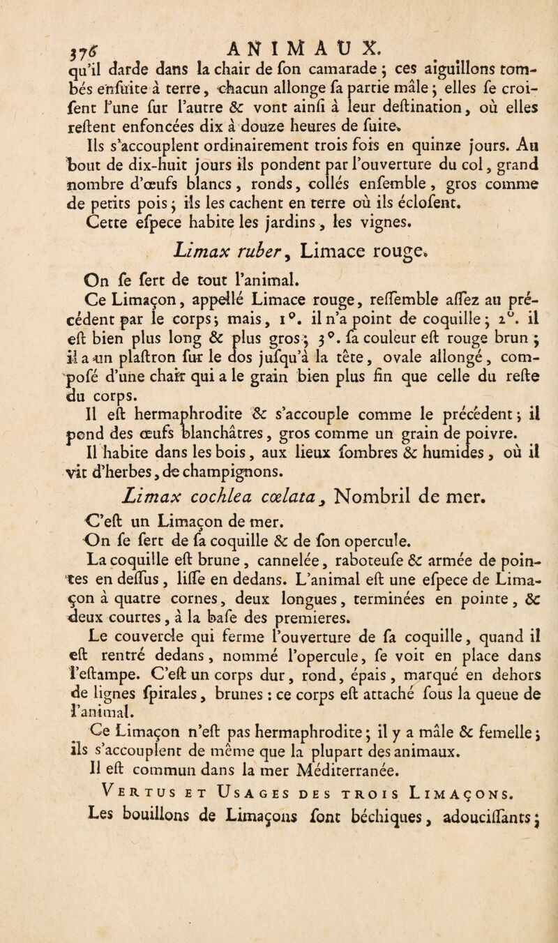 qu’il darde dans la chair de Ton camarade ; ces aiguillons tom¬ bés e'rsfuite à terre, chacun allonge fa partie mâle ; elles fe croi- fent Tune fur l’autre 6c vont ainlî à leur deftination, où elles relient enfoncées dix â douze heures de fuite. Ils s’accouplent ordinairement trois fois en quinze jours. Ail bout de dix-huit jours ils pondent par l’ouverture du col, grand nombre d’œufs blancs, ronds, collés enfemble, gros comme de petits pois ; ils les cachent en terre où ils éclofent. Cette efpece habite les jardins , les vignes. Limax ruber, Limace rouge. On fe fert de tout l’animal. Ce Limaçon, appelle Limace rouge, reffemble aflez au pré¬ cédent par le corps ; mais, iQ. il n’a point de coquille; 2°. il eft bien plus long 6c plus gros ; 30. fa couleur eft rouge brun ; il a cm plaftron fur le dos jufqu’à la tête, ovale allongé, com- pofé d’une chair qui a le grain bien plus fin que celle du relie du corps. 11 eft hermaphrodite 6c s’accouple comme le précèdent ; il pond des œufs blanchâtres, gros comme un grain de poivre. Il habite dans les bois, aux lieux fombres 6c humides , où il vit d’herbes, de champignons. Limax cochlea cœlata y Nombril de mer. C’ell un Limaçon de mer. On fe fert de fa coquille 6c de fon opercule. La coquille eft brune , cannelée, raboteufe de armée de poin¬ tes en delfus , lilfe en dedans. L’animal eft une efpece de Lima¬ çon à quatre cornes, deux longues, terminées en pointe, 6c deux courtes, â la bafe des premières. Le couvercle qui ferme l’ouverture de fa coquille, quand il eft rentré dedans, nommé l’opercule, fe voit en place dans Feftampe. C’eft un corps dur, rond, épais, marqué en dehors de lignes fpirales, brunes : ce corps eft attaché fous la queue de l’animal. Ce Limaçon n’eft pas hermaphrodite ; il y a mâle 8c femelle ; ils s’accouplent de même que la plupart des animaux. Il eft commun dans la mer Méditerranée. Vertus et Usages des trois Limaçons. Les bouillons de Limaçons font béchiques, adoucifiànts}