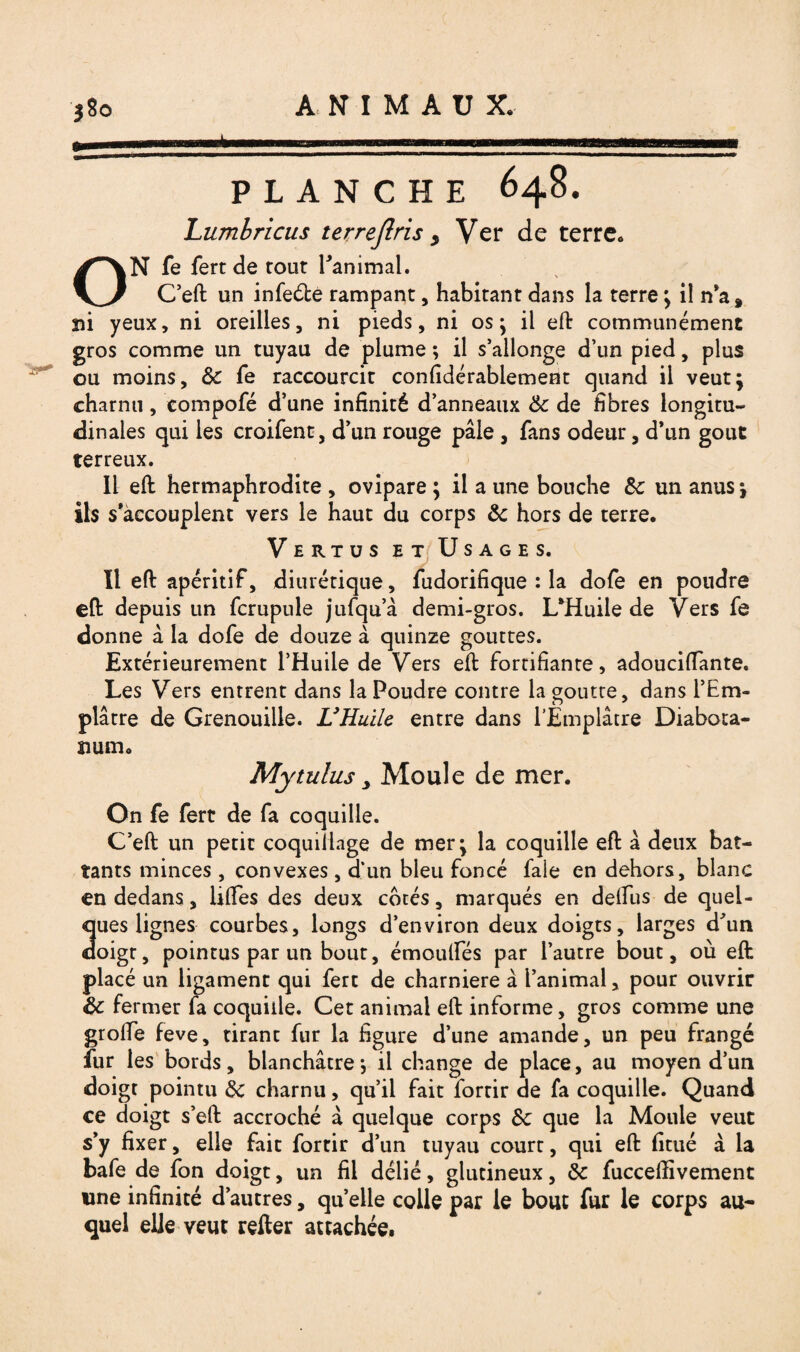 PLANCHE 648. Lumbricus terrejlris y Ver de terre* ON fe fert de tout l'animal. C’eft un infeéte rampant, habitant dans la terre ; il n’a % m yeux, ni oreilles, ni pieds, ni os; il efl communément gros comme un tuyau de plume ; il s’allonge d’un pied, plus ou moins, de fe raccourcit confidérabiement quand il veut; charnu, compofé d’une infinité d’anneaux de de fibres longitu¬ dinales qui les croifent, d’un rouge pâle , fans odeur, d’un goût terreux. Il efl hermaphrodite , ovipare ; il a une bouche de un anus ; ils s’accouplent vers le haut du corps de hors de terre. Vertus et Usages. Il efl apéritif, diurétique, fudorifique : la dofe en poudre eft depuis un fcrupule jufqu’à demi-gros. UHuile de Vers fe donne à la dofe de douze à quinze gouttes. Extérieurement l’Huile de Vers eft fortifiante, adouciftante. Les Vers entrent dans la Poudre contre la goutte, dans l’Em¬ plâtre de Grenouille. L’Huile entre dans l’Emplâtre Diabota- îium* Mytulus y Moule de mer. On fe fert de fa coquille. C’eft: un petit coquillage de mer; la coquille efl: â deux bat¬ tants minces , convexes, d’un bleu foncé fale en dehors, blanc en dedans, liftes des deux cotés, marqués en deftus de quel¬ ques lignes courbes, longs d’environ deux doigts, larges d'un doigt, pointus par un bout, émouftes par l’autre bout, où efl: placé un ligament qui fert de charnière à l’animal, pour ouvrir de fermer fa coquille. Cet animal eft: informe, gros comme une grofte feve, tirant fur la figure d’une amande, un peu frangé fur les bords, blanchâtre; il change de place, au moyen d’un doigt pointu de charnu, qu’il fait fortir de fa coquille. Quand ce doigt s’efl accroché â quelque corps de que la Moule veut s’y fixer, elle fait fortir d’un tuyau court, qui eft: fitué à la bafe de fon doigt, un fil délié, glutineux, de fucceftivement une infinité d’autres, quelle colle par le bout fur le corps au¬ quel elle veut relier attachée.