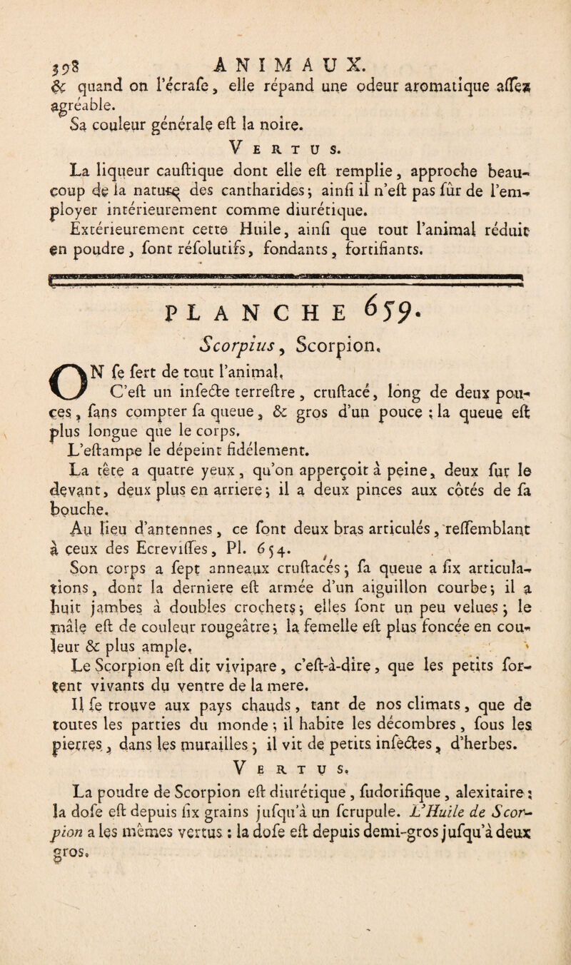 3*8 ^ ANIMAUX. $ç quand on l’écrafe , elle répand une odeur aromatique allés agréable. Sa couleur générale eft la noire. Vertus. La liqueur cauftique dont elle efb remplie, approche beau¬ coup de ia natur^ des cantharides; ainfi il n’eft pas fur de l’em¬ ployer intérieurement comme diurétique. Extérieurement cette Huile, ainli que tout l’animal réduit- en poudre, font réfolutifs, fondants, fortifiants. e PLANCHE 6^9. Scorpius, Scorpion, ON fe fert de tout l’animal, C’eft un infeéfce terreftre , cruftacé, long de deux pou* ces ? fans compter fa queue, de gros d’un pouce ; la queue eft plus longue que le corps, L’eftampe le dépeint fidèlement. La tète a quatre yeux, qu’on apperçoit à peine, deux fur le devant, deux plus en arriéré ; il a deux pinces aux cotés de fa bouche. Au fieu d’antennes, ce font deux bras articulés, relfemblant à ceux des EcrevilTes, PI. 654. Son corps a fept anneaux cruftacés, fa queue a fix articula¬ tions, dont la derniere eft armée d’un aiguillon courbe; il a huit jambes à doubles croçhetç; elles font un peu velues j le maie eft de couleur rougeâtre; la femelle eft plus foncée en cou¬ leur de plus ample, ' * Le Scorpion eft dit vivipare , c’eft-à-dire, que les petits for¬ int vivants du ventre de la mere. Il fe trouve aux pays chauds , tant de nos climats, que de toutes les parties du monde ; il habite les décombres, fous les pierres, dans les murailles • il vit de petits infedes, d’herbes. Vertus, La poudre de Scorpion eft diurétique , fudorifique , alexitaire ; la dofe eft depuis iix grains jufqu’à un fcrupule. L’Huile de Scor¬ pion a les mêmes vertus : la dofe eft depuis demi-gros jufqu’à deux gros,