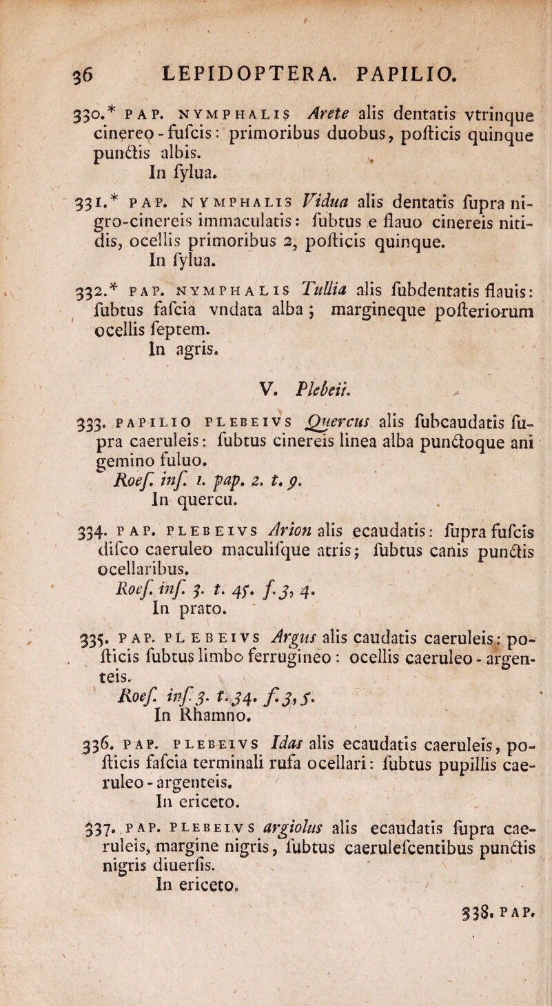330. * pap. nymphalis Arete alis dentatis vtrinque cinereo - fufcis: primoribus duobus, pollicis quinque pundis albis. In lylua. 331. * pap. nymphalis Vidua alis dentatis fupra ni- gro-cinereis immaculatis: fubtus e flauo cinereis niti» dis, ocellis primoribus 2, pollicis quinque. In fylua. 332. * pap. nymphalis Tullia alis fubdentatis llauis: fubtus fafcia vndata alba ; margineque polleriorum ocellis feptem. In agris. V. Pkbeii. 333. papilio plebeivs Quercus alis fubcaudatis fu¬ pra caeruleis: fubtus cinereis linea alba pundoque ani gemino fuluo. Roef. inf z. pap. 2. t. p. In quercu. 334. pap. plebeivs Arion alis ecaudatis: fupra fufcis difco caeruleo maculifque atris; fubtus canis pundis ocellaribus. Roef. inf 3. t. 4f. f.j, 4. In prato. * , 335. pap. plebeivs Argus alis caudatis caeruleis: po¬ llicis fubtus limbo ferrugineo : ocellis caeruleo - argen¬ teis. Roef, iftf S* In Rhamno. pap. plebeivs Idas alis ecaudatis caeruleis, po¬ llicis fafcia terminali rufa ocellari: fubtus pupillis cae¬ ruleo-argenteis. In ericeto. 337. pap. plebeivs argiolus alis ecaudatis fupra cae¬ ruleis, margine nigris, fubtus caerulefcentibus pundis nigris diuerlis. In ericeto. 338. pap.