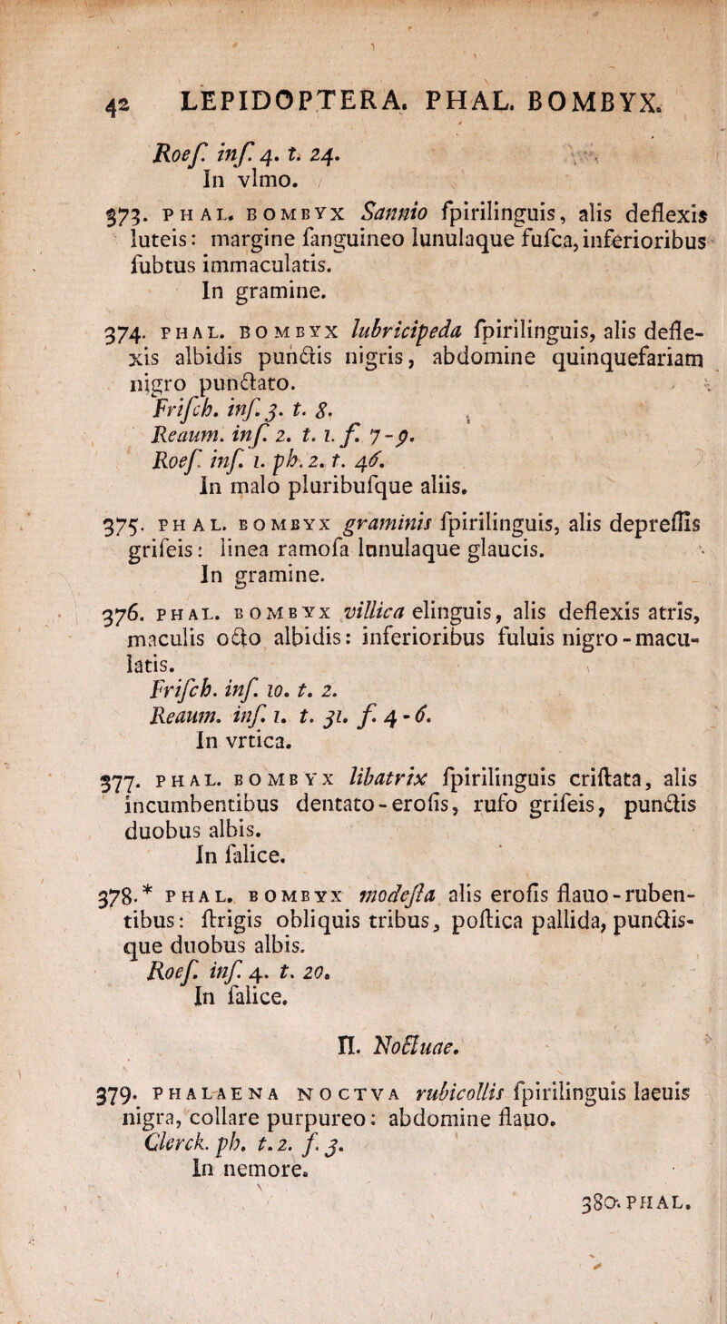 1 4s LEPIDOPTERA. PHAL. BOMBYX. • • -■« , 0 Roef inf. 4. t. 24. In vlmo. / 373. phal. bombyx Sannio fpirilinguis, alis deflexis luteis: margine fanguineo lunulaque fufca, inferioribus fubtus immaculatis. In gramine. 374. phal. bombyx lubricipeda fpirilinguis, alis defle¬ xis albidis pundis nigris, abdomine quinquefariam nigro pundato. Frifch. inf 3. t. 8- Reaum. inf. 2. t. 1. f. 7 - Roef inf i.ph.z. t. 46. In malo pluribufque aliis. 375. PHAL. B omeyx graminis fpirilinguis, alis depreflis grifeis: linea ramofa lnnulaque glaucis. In gramine. 376. phal. bombyx villica elinguis, alis deflexis atris, maculis odo albidis: inferioribus fuiuis nigro-macu¬ latis. Frifch. inf 10. t. 2. Reaum. inf z. t. 31. f. 4 - 6. In vrtica. 377. phal. bombyx libatrix fpirilinguis criftata, alis incumbentibus dentato-erofls, rufo grifeis, pundis duobus albis. In falice. 378. * phal. bombyx modefta alis erofls flauo-ruben¬ tibus: flrigis obliquis tribus, poftica pallida, pundis- que duobus albis. Roef inf 4. t. 20, In falice. n. Noffiuae. 379. pha laena n o c r v a rubicollis fpirilinguis laeuis nigra, collare purpureo: abdomine flauo. Clerck. ph. t. 2. /. 3. In nemore. 380-. PHAL.