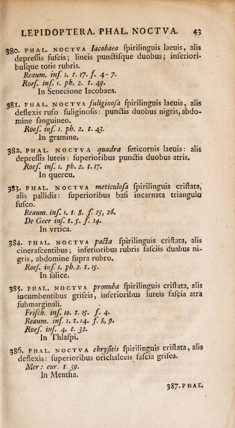 380. PHAL. NOCTVA Iacobaea fpirilinguis laeuis, alis depreffis fufcis; lineis pundifque duobus; inferiori- bufque totis rubris. Reaum. inf. i. t. 17. j\ 4” 7* Roef. inf. 1. ph. 2. t. 49. In Senecione Iacobaea. 381. phal. noctva fuliginofa fpirilinguis laeuis, alis deflexis rufo fuliginofis: pundis duobus nigris, abdo¬ mine fanguineo. Roef. inf. 1. ph. 2. t. 41. In gramine. 382. phal. noctva quadra feticornis laeuis: alis depreffis luteis: fuperioribus pundis duobus atris. Roef. inf. 1. ph. 2. 1.17. In quercu. 383* phal. noctva meticulopi fpirilinguis criftata, alis pallidis: fuperioribus bali incarnata triangulo fufco. Reaum. inf. 1. t. 8. f 2/, 26. J)e Geer inf. t. p. f. 14. In vrtica. 384. phal. noctva patta fpirilinguis criftata, alis cinerafcentibus; inferioribus rubris falciis duabus ni¬ gris , abdomine fupra rubro. Roef. inf 1. ph.2. 1.ip. In lalice. 385. phal. noctva pronuba fpirilinguis; cri flata, alis incumbentibus grifeis, inferioribus luteis fafcia atra fubmarginali. Frifch. inf. 10. t. ip. f . 4. Reaum. inf 1.1.14. f. 8> 9• Roef. inf. 4. t. j2. In Thlafpi. 386. phal. noctva chrpfitis fpirilinguis cnflata, alis deflexis: fuperioribus orichalceis fafcia grifea. Mer: eur. t. pp. In Mentha. w- - ■ \ 387. P HAt*