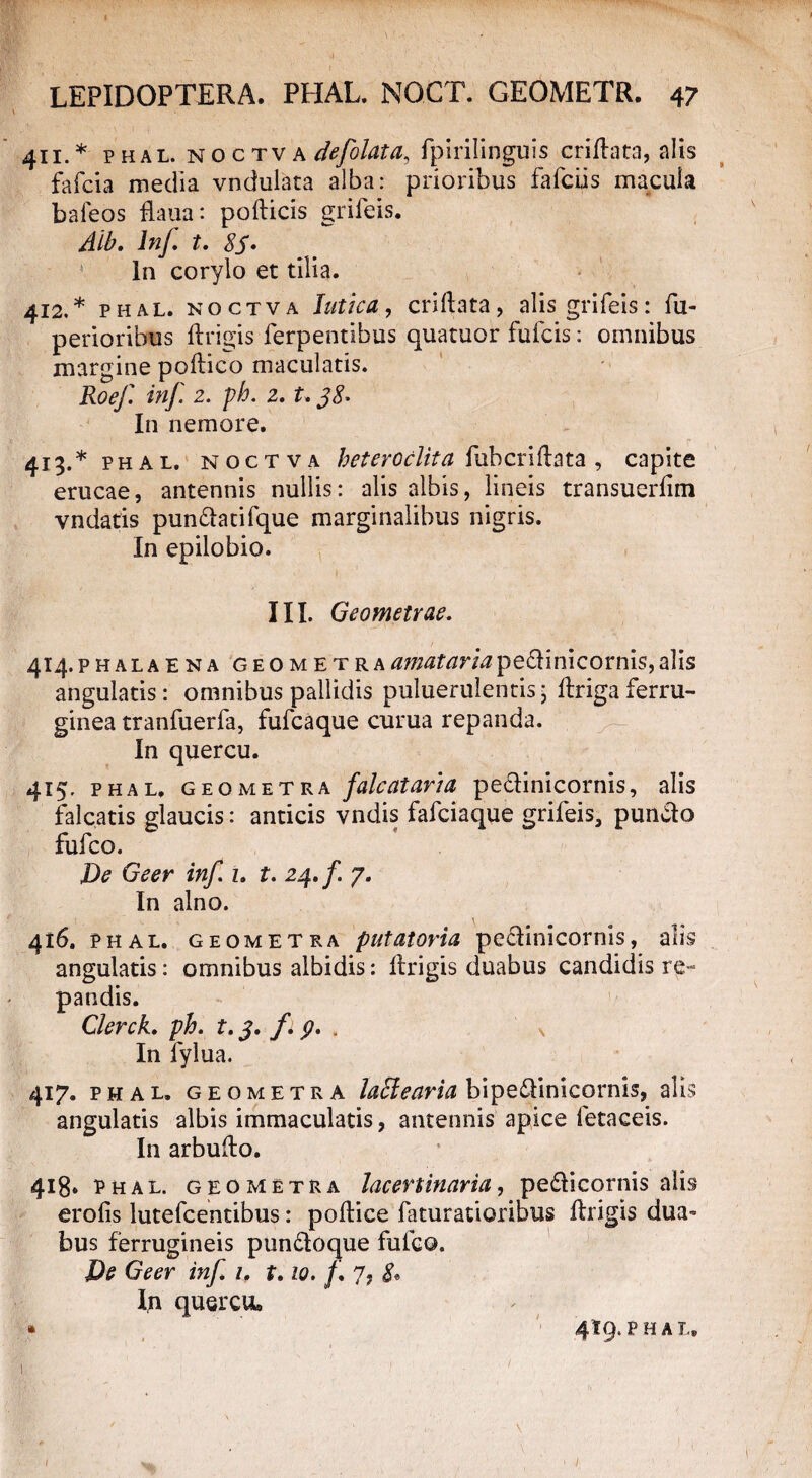 V; ?■ V I. ( ' ' 1 • . LEPIDOPTERA. PHAL. NGCT. GEOMETR. 47 411. * PHAL. noctva defolata, fpirilinguis criftata, alis fafcia media vndulata alba: prioribus fafciis macula baleos flaua: pofticis grifeis. Aib. InJ. t. 85' In corylo et tilia. 412. * phal. noctva lutica, criltata, alis grifeis: fu- periorihus frigis ferpentibus quatuor fufcis: omnibus margine poftico maculatis. Roej. irif 2. ph. 2. U 58' In nemore. 413. * phal. noctva heteroclita fubcrifata , capite erucae, antennis nullis: alis albis, lineis transuerfim vndatis pun&atifque marginalibus nigris. In epilobio. III. Geometrae. 414. PHALAENA geometraamatarlapeflinicornis,alis angulatis: omnibus pallidis puluerulentis; ftrigaferru¬ ginea tranfuerfa, fufcaque curua repanda. In quercu. 415. phal. geometra falcataria pe&inicornis, alis falcatis glaucis: anticis vnclis fafciaque grifeis, puncto fufco. De Geer inf. z. t. 24. f. 7. In alno. 416. phal. geometra putatoria peciinicornis, alis angulatis: omnibus albidis: frigis duabus candidis re¬ pandis. Clerck. ph. t. 5. fl p. . x In fylua. 417. phal. geometra latlearia bipe&inicornis, alis angulatis albis immaculatis, antennis apice fetaceis. In arbuf o. 418* ph al. geometra lacertinaria, pe<f i cornis alis erofis lutefcentibus: pof ice feturatioribus frigis dua- bus ferrugineis punftoque fufco. De Geer inf. 1. t. 10. f. 7, & Ijn quercuu * 419. PHAL, \ ,\