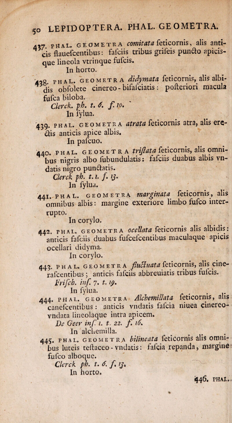 457 phal. geometra comitata feticornis, alis anti¬ cis flauefcentibus: fafciis tribus grifeis pun&o apicis- que lineola vtrinque fufcis. In horto. phal. geometra didymata feticornis, alis albi¬ dis obfolete cinereo - bifafciatis: polleriori macula fufca biloba. Clerck» ph» t» f io» In fylua. 439* ^ zr a l. geometra atrata feticoinis atra, alis ere¬ ctis anticis apice albis. In pafcuo. 440. ^hal. geometra tvifuta feticornis, alis omni¬ bus nigris albo fubundulatis: fafciis duabus albis vn- datis nigro pun&atis. Clerck ph. t, 1. /. zj. In fylua. 441. p h a l. geometra marginata feticornis, alis omnibus albis: margine exteriore limbo fufco inter¬ rupto. In corylo. 442. phal. geometra oceUata feticornis alis albidis: anticis fafciis duabus fufcefcentibus maculaque apicis ocellari didyma. In corylo. 449. phal. geometra fluctuata feticornis, alis cine- rafcentibus j anticis fafciis abbreuiatis tubus fulcis. %'rifcb» inf 7. t. ip» In fylua. 444. phal. geometra Alchemillata feticornis, alis canefcentibus: anticis vndatis fafcia niuea cinereo- vndata lineolaque intra apicem. De Qeer inf. 1. t 22. f 16. In alchemilla. 445, phal, geometra biiineata feticornis alis omni** bus luteis tellaceo - vndatis: fafcia repanda, margine fufco alboque. Clerck ph• t* f» zj« In horto.