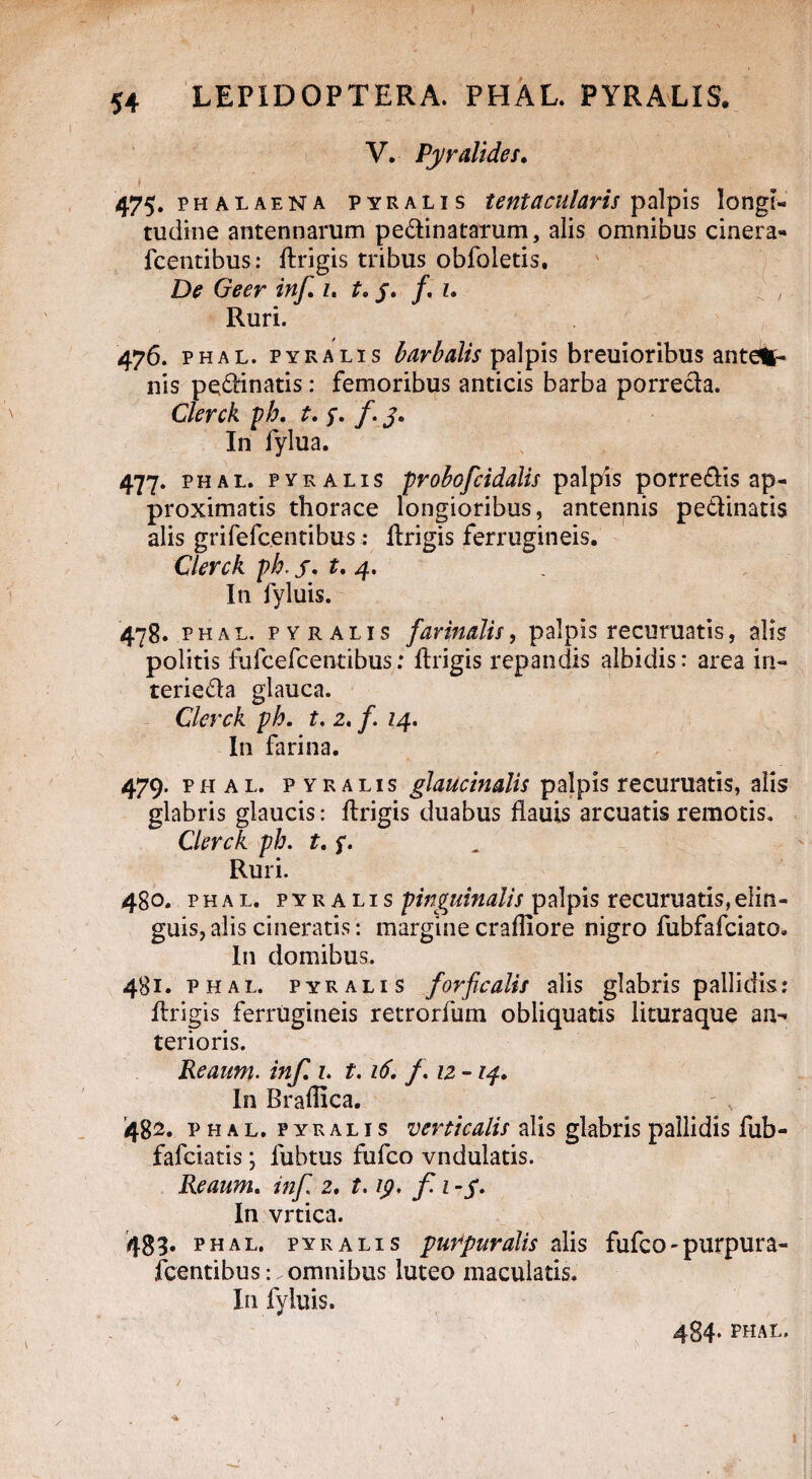 V. Pyralides. 475. phalaena pyralis tentacularis palpis longi¬ tudine antennarum pe&inatarum, alis omnibus cinera- fcentibus: fbrigis tribus obfoletis. De Geer inf. 1. t.y. /. 1. Ruri. 476. phal. pyralis barbalis palpis breuioribus antem¬ nis pe&inatis: femoribus anticis barba porrecba. Clerck ph. t. 5. /. j. In lylua. 477. phal. pyralis pvohofcidalis palpis porredis ap¬ proximatis thorace longioribus, anteqnis petbinatis alis grifefcentibus; fbrigis ferrugineis. Clerck ph. f. t. 4. In fyluis. 478. phal. pyralis farinulis, palpis recuruatis, alis politis fufcefcentibus; fbrigis repandis albidis: area in- terieda glauca. Clerck ph. t. 2. /. 14. In farina. 479. phal. pyralis glaucimlis palpis recuruatis, alis glabris glaucis: fbrigis duabus flauis arcuatis remotis. Clerck ph. t. f. Ruri. 480. phal. pyralis pinguinalis palpis recuruatis,elin¬ guis, alis cineratis: margine crafliore nigro fubfafciato. In domibus. 481. phal. pyralis forficulis alis glabris pallidis: fbrigis ferrugineis retrorfum obliquatis lituraque aa^ terioris. Reaum. inf. 1. 1.16. f. iz -14. In Braflica. 482. phal. pyralis verticalis alis glabris pallidis fub- fafciatis; fubtus fufco vndulatis. Reaum. inf 2. 1.19. f 1 -y. In vrtica. 433. phal. pyralis purpuralis alis fufco - purpura¬ scentibusomnibus luteo maculatis. In fyluis. \