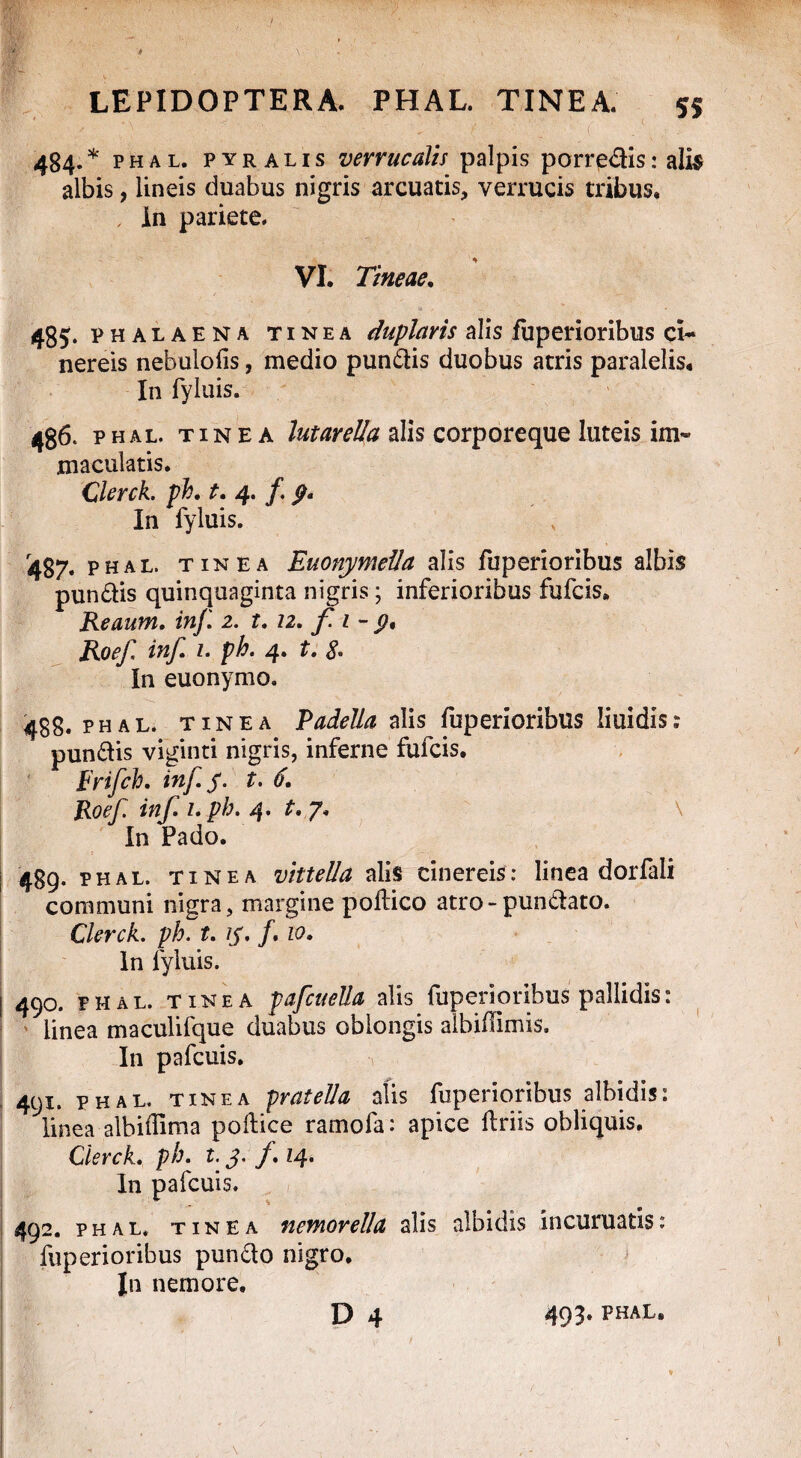 4B4.* phal. pyralis verrucalis palpis porredis: ali$ albis, lineis duabus nigris arcuatis, verrucis tribus. In pariete. VI. Tineae. 485. phalaena tinea duplaris alis fuperioribus ci¬ nereis nebulofis, medio pundis duobus atris paralelis. In fyluis. 486. PHAL. T 1 n e a lutareUa alis corporeque luteis im¬ maculatis. Clerck. ph. t. 4. /. 9. In fyluis. 487. phal. tinea Euonymella alis fuperioribus albis pundis quinquaginta nigris; inferioribus fufcis. Reaum. in/,‘ 2. t. 12. f. 1 - 9, Roef inf. 1. ph. 4. t. 8• In euonymo. 488. phal. tinea Padella alis fuperioribus liuidis: pundis viginti nigris, inferne fufcis. Frifch. inf. 5. t. 6. Roef inf. 1. ph. 4. t. 7. \ In Pado. 489. phal. tinea vittella alis cinereis: linea dorfali communi nigra, margine poftico atro-pundato. Clerck. ph. t. /y. /. 10. In fyluis. 490. fhal. tinea pafcuella alis fuperioribus pallidis: linea maculifque duabus oblongis aibiflimis. In pafcuis. 491. phal. tinea pratella alis fuperioribus albidis: linea albiffima podice ramofa: apice Uriis obliquis. Clerck. ph. t. J- /. 14- In pafcuis. 492. phal* tinea nemorella alis albidis incuruatis; fuperioribus pundo nigro. Jn nemore.