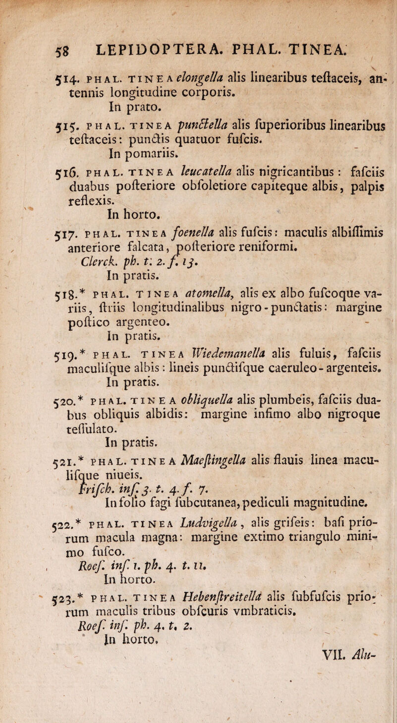 N. 514. phal. tinea elongeUa alis linearibus teflaceis, an¬ tennis longitudine corporis. In prato. 515. phal. tinea punttella alis fuperioribus linearibus teflaceis: puncfis quatuor fufcis. In pomariis* 516. phal. tinea leucatella alis nigricantibus: fafciis duabus pofteriore obfoletiore capiteque albis, palpis reflexis. In horto. 517. phal. tinea foeneUa alis fufcis: maculis albiflimis anteriore falcata, pofteriore reniformi. ClercL ph. t: 2, f, 13. In pratis. 518. * phal. tinea atomella, alis ex albo fufcoque va¬ riis, flriis longitudinalibus nigro - pun&atis: margine poftico argenteo. In pratis. 519. * phal. tinea WiedemaneUa alis fuluis, fafciis maculifque albis: lineis pundifque caeruleo-argenteis. In pratis. 520. * phal. tinea obliqueUa alis plumbeis, fafciis dua¬ bus obliquis albidis: margine infimo albo nigroque tefllilato. In pratis. 521. * phal. tinea Maeftingella alis flauis linea macu¬ lifque niueis. Prifch. inf. 3. t. 4./. 7. In folio fagi fubcutanea, pediculi magnitudine. 522. * phal. tinea Ludvigella, alisgrifeis: bafi prio¬ rum macula magna: margine extimo triangulo mini¬ mo fufco. Roef inf 7. ph. 4. 1.1 z. In horto. 523. * phal. tinea HebenjireiteUa alis fubfufcis prio¬ rum maculis tribus obfcuris vmbraticis. Roef inf. ph. 4. t, 2. Jn horto. VIL Alu-