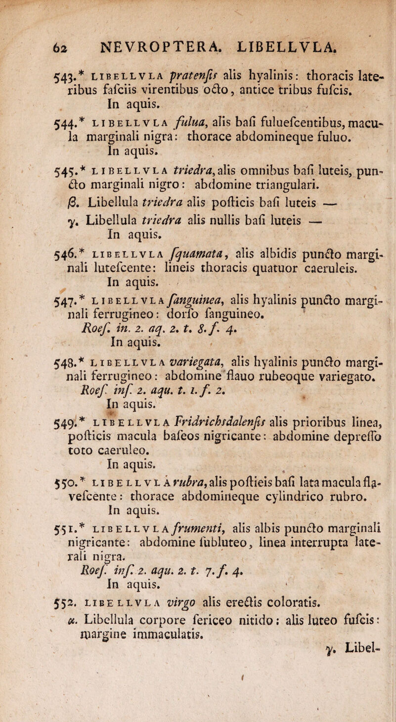 543. * libellvla pratenfif alis hyalinis: thoracis late¬ ribus fafciis virentibus odo, antice tribus fufcis. In aquis. 544. * libellvla fulua, alis bafi fuluefcentibus,macu¬ la marginali nigra: thorace abdomineque fuluo. In aquis. 545. * libellvla triedra,alis omnibus bafi luteis, pun- do marginali nigro: abdomine triangulari. /3. Libellula triedra alis podicis bafi luteis •y. Libellula triedra alis nullis bafi luteis — In aquis. 546. * libellvla fquamata, alis albidis pundo margi¬ nali lutefcente: lineis thoracis quatuor caeruleis. In aquis. 547. * libellvla [anguinea, alis hyalinis pundo margi¬ nali ferrugineo: dorfo fanguineo. Roef in, 2. aq. 2. t. <£./. 4. In aquis. 548. * libellvla variegata, alis hyalinis pundo margi¬ nali ferrugineo: abdomine flauo rubeoque variegato. Roef inf 2. aqu. t. i.f. 2. In aquis. v 549. * LIBELLVLA Fridrichsdalenfis alis prioribus linea, podicis macula bafeos nigricante: abdomine depreffo toto caeruleo. In aquis. 550. * libellvla rubra, alis podieis bafi lata macula fla- vefcente: thorace abdomineque cylindrico rubro. In aquis. 551. * libellvla frumenti, alis albis pundo marginali nigricante: abdomine fubluteo, linea interrupta late¬ rali nigra. Roef inf 2. aqu. 2. t. 7./. 4. In aquis. $5^ libellvla virgo alis eredis coloratis. Libellula corpore fericeo nitido: alis luteo fufcis: margine immaculatis. y, Libeh i