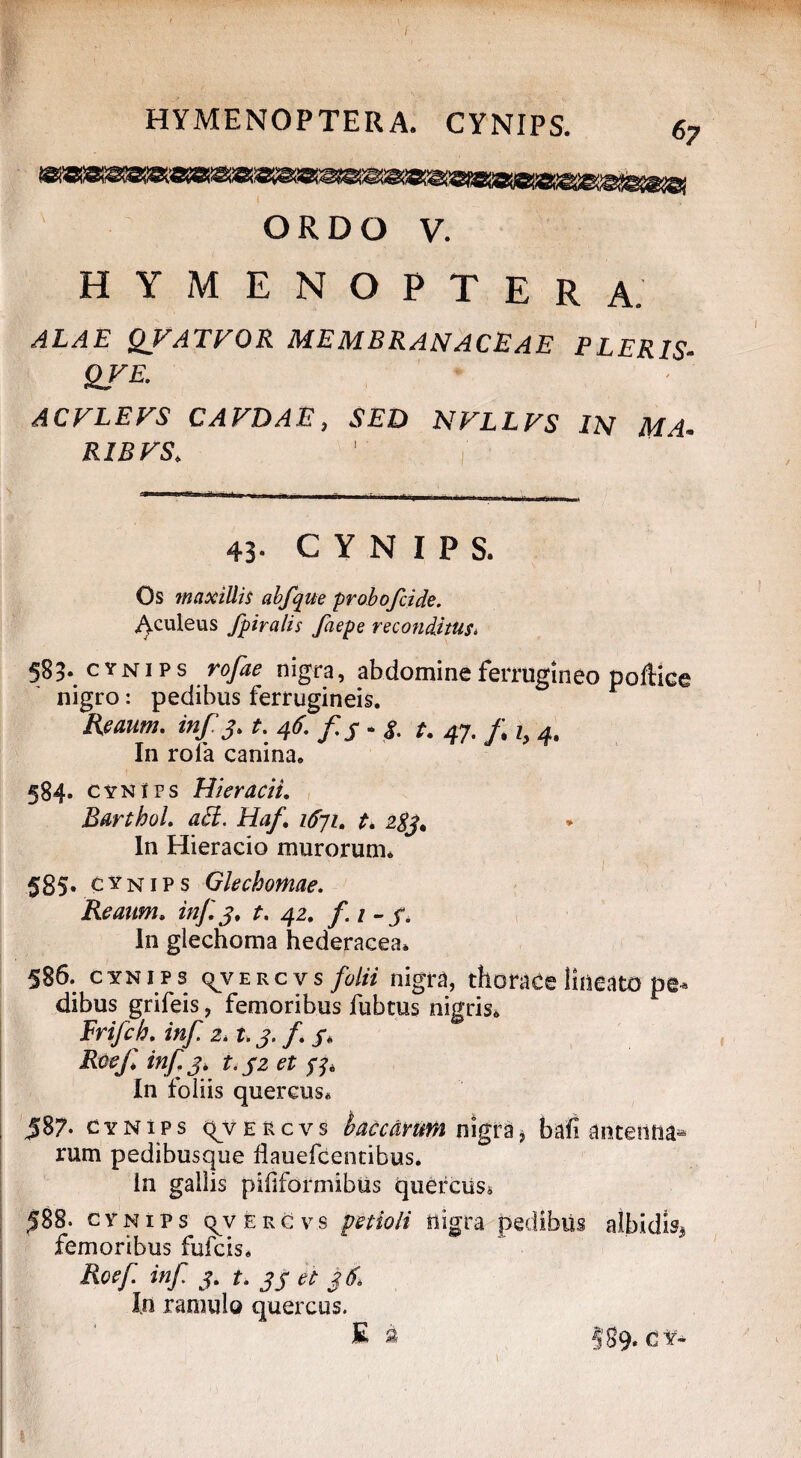 HYMENOPTERA. CYNIPS. 6; . ORDO V. HYMENOPTERA. ■4I/1E QVATVOR MEMBRANACEAE PLERIS- QVE. ACVLEVS CAFDAE, SED NVLLVS IN MA- RIBFS. 1 ' - . f ■ ■ M -- 43- CYNIPS. Os maxillis abfque probo fide. Aculeus fpiralis faepe reconditus* 585* c yn i p s rofae nigra, abdomine ferrugineo pollice nigro: pedibus ferrugineis. Reaum. inf 3. t. 46. fis* 8. t. 47. fi i, 4, In rofa canina. 584* cynifs Hieracii. Barthol. adi. Ha/. 1671. t* 2#j. In Hieracio murorum. 585- cy nips Glecbomae. Reaum. inf.3. A 42. /. / - In glechoma hederacea. 586. CYNIPS qvERcvs folii nigra, thorace lineato pe¬ dibus grifeis, femoribus fubtus nigris. Frifch. inf 2. t. 3. fi /. Rtivf* inf: 3* t.32 et 57. In foliis quercus. 587- cynips qvERcvs baccarum nigra, bah antenna® rum pedibusque flauefcentibus. In gallis pififormibus querciis. 588. cynips (^vercvs petioli ttigra pedibus albidi^ femoribus fufcis. Roef inf 3. t. 33 ei 36, In ramulo quercus. E a §89.
