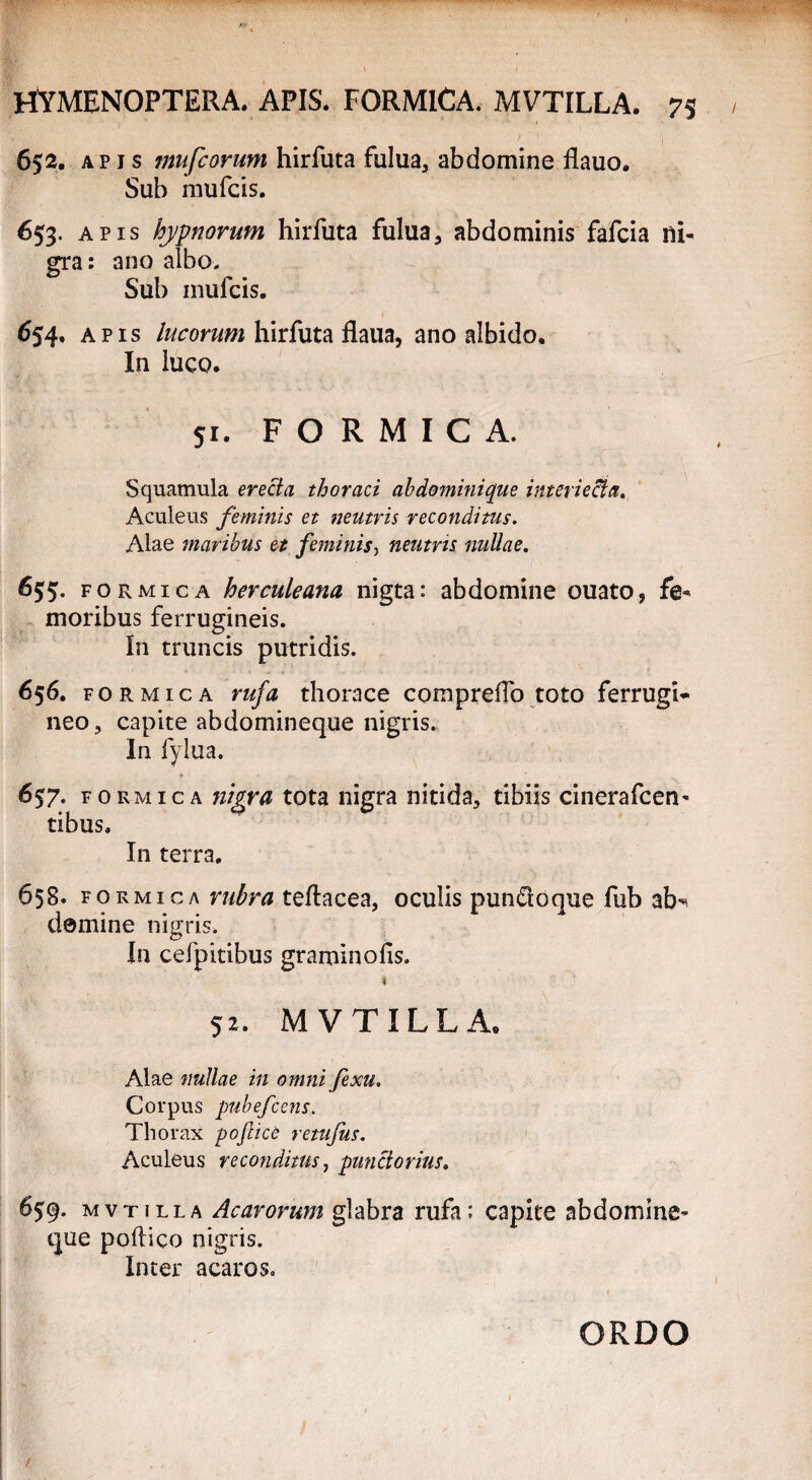 652. apis mufcorum hirfuta fulua, abdomine flauo. Sub mufcis. 653. apis hypnorum hirfuta fulua, abdominis fafcia ni¬ gra: ano albo. Sub mufcis. 654. APIS lucorum hirfuta flaua, ano albido. In luco. Si. FORMICA. Squamula erecta thoraci abdominique interiecta. Aculeus feminis et neutris reconditus. Alae maribus et feminis, neutris nullae. 655. formica herculeana nigta: abdomine ouato, fe¬ moribus ferrugineis. In truncis putridis. 656. formica rufa thorace compreifo toto ferrugi* neo, capite abdomineque nigris. In fylua. 657. formica nipya tota nigra nitida, tibiis cinerafcen- tibus. In terra. 658. formica rubra teflacea, oculis pun&oque fub ab-* domine nigris. In cefpitibus graminofis. 4 52. MVTILLA. Alae nullae in omni fexu. Corpus pubefcens. Thorax p optice retufus. Aculeus reconditus, punciorius. 659. mvtilla Acarorum glabra rufa; capite abdomine¬ que poftico nigris. Inter acaros. ORDO