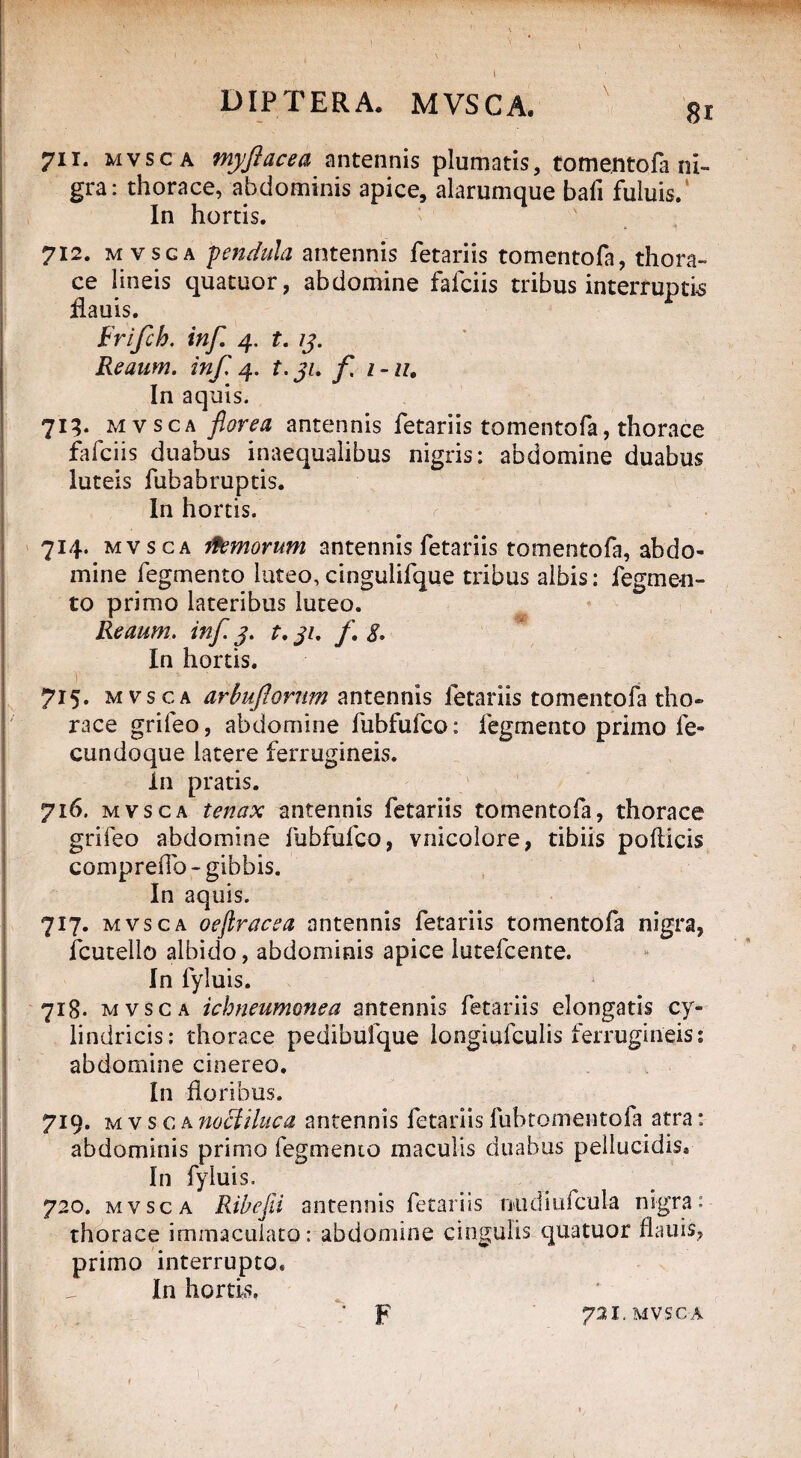 \ DIPTERA. MVSCA. 7ii* mvsca myftacea antennis plumatis, tome.ntofa ni¬ gra: thorace, abdominis apice, alarumque bafi fuluis. In hortis. 712. m vsga pendula antennis fetariis tomentofa, thora¬ ce lineis quatuor, abdomine fafciis tribus interruptis flauis. Frifch, inf. 4. t. 13. Reaum. inf, 4. t. 31. f 1 - u. In aquis. 7^. mvsca florea antennis fetariis tomentofa, thorace fafciis duabus inaequalibus nigris: abdomine duabus luteis fubabruptis. In hortis. r 714. mvsca ikmorum antennis fetariis tomentofa, abdo¬ mine fegmento luteo,cingulifque tribus albis: fegmen- to primo lateribus luteo. Reaum. inf 3. t. 31. f 8. In hortis. 715. mvsca arbuflornm antennis fetariis tomentofa tho¬ race grifeo, abdomine fubfufco: fegmento primo fe- cundoque latere ferrugineis. In pratis. 716. mvsca tenax antennis fetariis tomentofa, thorace grifeo abdomine fubfufco, vnicolore, tibiis pollicis compreffo - gibbis. In aquis. 717. mvsca oejlracea antennis fetariis tomentofa nigra, fcutello albido, abdominis apice lutefcente. In fyluis. 718. mvsca ichneumonea antennis fetariis elongatis cy¬ lindricis: thorace pedibufque longiufculis ferrugineis: abdomine cinereo. In floribus. 719. mvsca nodi tluc a antennis fetariis fubtomentofa atra: abdominis primo fegmento maculis duabus pellucidis» In fyluis. 720. mvsca Ribefii antennis fetariis midiufcula nigra: thorace immaculato: abdomine cingulis quatuor flauis, primo interrupto. In hortis,