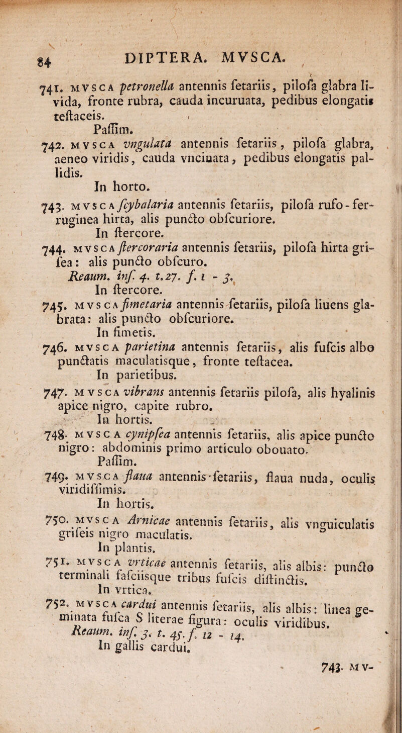 . ■ V: „• ■ y 84 DIPTERA. MVSCA. ( 741. mvsca petvonella antennis fetariis, pilofa glabra li¬ vida, fronte rubra, cauda incuruata, pedibus elongatis teftaceis. Pafiim. 742. mvsca vngulata antennis fetariis, pilofa glabra, aeneo viridis, cauda vnciuata, pedibus elongatis pal¬ lidis. In horto. 743. mvsca fcybalaria antennis fetariis, pilofa rufo-fer¬ ruginea hirta, alis pundo obfcuriore. In ftercore. 744. mvsca Jlercoraria antennis fetariis, pilofa hirta gri- fea : alis pundo obfcuro. Reaiim. inf. 4. r. 27. f. 1 - j. In ftercore. 745. mvsca fimetaria antennisdetariis, pilofa liuens gla- brata: alis pundo obfcuriore. In fimetis. 746. mvsca parietina antennis fetariis, alis fufcis albo pundatis maculatisque, fronte teftacea. In parietibus. 747. mvsca vibrans antennis fetariis pilofa, alis hyalinis apice nigro, capite rubro. In hortis. 748- mvsca cynipfea antennis fetariis, alis apice pundo nigro: abdominis primo articulo obouato. Paflim. 749. mvsca flaua antennis-fetariis, flaua nuda, oculis viri di ffi tuis. In hortis. 750..mvsca Amicae antennis fetariis, alis vnguiculatis gnfeis nigro maculatis. 0 In plantis. 751. mvsca vrticae antennis fetariis, alis albis: punda teiminali fafciisque tribus fulcis diftindis. In vrtica. 752. mvsca cardui antennis fetariis, alis albis: linea ge¬ minata fufca S hterae figura : oculis viridibus. Reaum. m/. j, t. 47. / n . In gallis cardui. 743. m v-