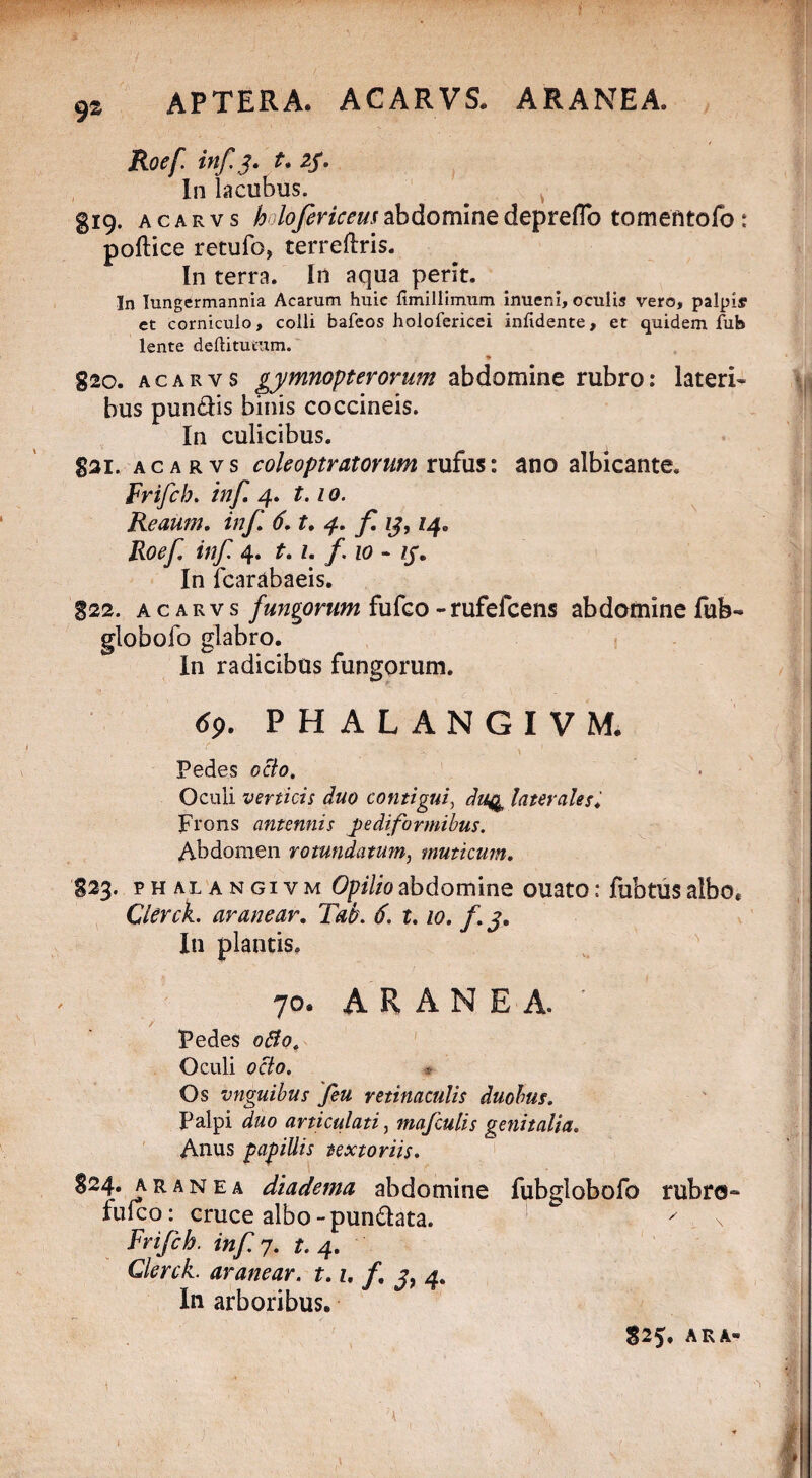 APTERA. ACARVS. ARANEA. 9S Roef inf J. t. zf* In lacubus. gi9. acarvs holofericeus abdomine depreffo tomentolo : pollice retufo, terrellris. In terra. In aqua perit. In Iungermannia Acarum huic fimillimum imieni, oculis vero, palpis et corniculo, colli bafeos holofericei iniidente, et quidem fub lente deftitucum. * g2o. acarvs gymnopterorum abdomine rubro: lateri* bus pundis binis coccineis. In culicibus. Sai. acarvs coleoptratorum rufus: ano albicante. Frifch. inf. 4. t.10. Reaum. inf. 6. t. 4. f. zj, 14. Roef inf 4. t. z. f. 10 * zj*. In fcarabaeis. g22. acarvs fungorum fufco - rufefcens abdomine fub- globofo glabro. In radicibus fungorum. 69. PHALANGIVM. Pedes octo. Oculi verticis duo contigui, du4 laterales. Frons antennis pediformibus. Abdomen rotundatum, muticum. S23. pHALANGivM Opilio abdomine ouato: fubtus albo* Clerck. aranear. Tat. 6. 1.10. f. j. In plantis. 70* ARANEA. ' / Pedes 0B0. Oculi octo. Os vnguibus feu retinaculis duobus. Palpi duo articulati, mafculis genitalia. Anus papillis textoriis. §24. aranea diadema abdomine fubglobofo rubre- fulco: cruce albo-pundata. x Frifch. inf 7. t. 4. Glerck. ar anear, t. 1. /• J> 4- In arboribus. S25. ARA»