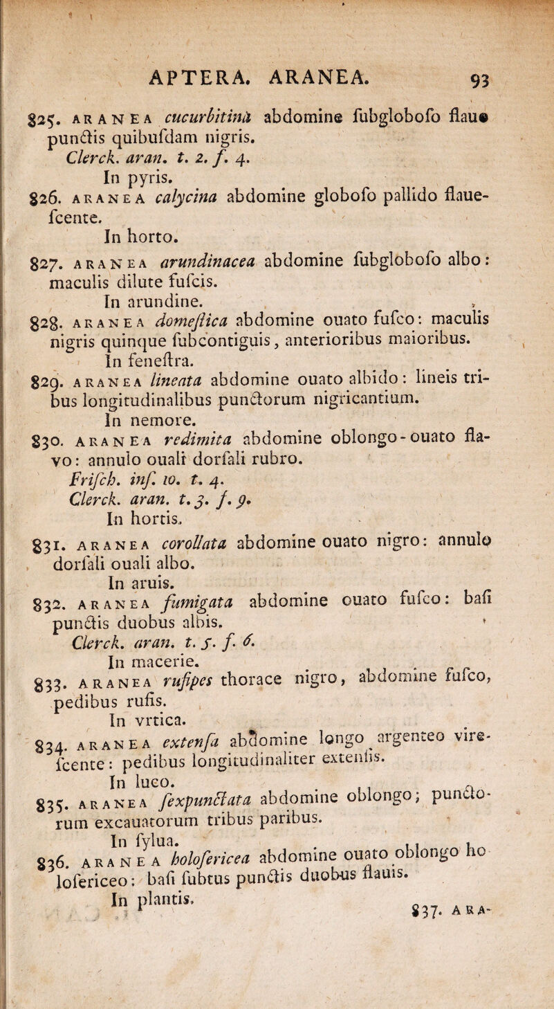 $ APTERA. ARANEA. 93 825. aranea cucurbitinii abdomine fubglobofo flau® pun&is quibufdam nigris. Clerck. aran. t. 2. f. 4. In pyris. $26. aranea calycina abdomine globofo pallido flaue- fcente. In horto. 827. aranea arundinacea abdomine fubglobofo albo: maculis dilute fufcis. In arundine. 828. aranea domeftica abdomine ouatofufco: maculis nigris quinque fubcontiguis, anterioribus maioribus. In feneftra. 829. aranea lineata abdomine ouato albido: lineis tri¬ bus longitudinalibus punctorum nigricantium. In nemore. 830. aranea redimita abdomine oblongo-ouato fla¬ vo : annulo oualr dorfali rubro. Frifch. inf. 10. t, 4. Clerck. aran. t. j. /. g. In hortis. 831. aranea corollata abdomine ouato nigro: annulo dorfali ouali albo. In aruis. 832. aranea fumigata abdomine ouato fufco: bafl punftis duobus albis. ♦ Clerck. aran. t. j*. /• d. In macerie. . , . . e r 833. aranea rufipes thorace nigro, abdomine mico, pedibus rufis. In vrtica. 834. aranea extenfa abdomine longo argenteo vire- fcente: pedibus longitudinaliter exteniis. In luco. . . . A 835. aranea fexpunffata abdomine oblongo; punw*o- rum excauatorum tribus paribus. s,6. hVfflTholofericea abdomine ouato oblongo ho lofericeo: bafi fubtus pungis duobus ilauis. In plantis. $37. A R