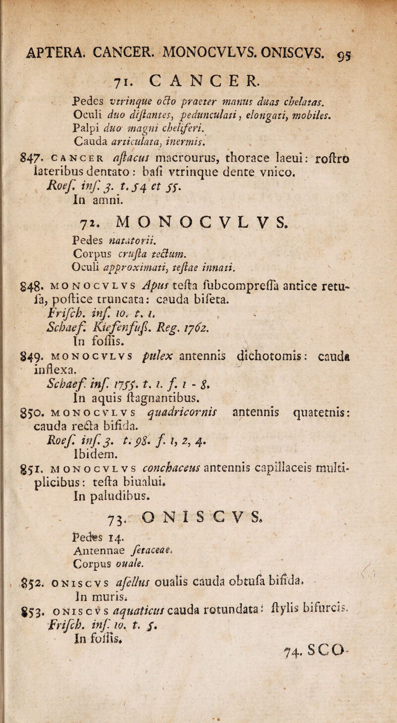 71. CANCER. Pedes vtvinque octo praeter manus duas chdatas. Oculi duo di jiant e S-, pedunculari, elongat i} mobiles. Palpi duo magni cheliferi. Cauda articulata > inermis. 847» cancer aftacus macrourus, thorace laeui: roflro lateribus dentato : bafl vtrinque dente vnico. Roef inf. j. t. /4 et 5f. In amni. 71. MONOCVLVS. Pedes natatorii. Corpus crujla teclum. Oculi approximari, tejlae innati. 848- monocvlvs Apus tefla fubcQmprefla antice retu- ia, pollice truncata: cauda bifera. Frifch. inf. 10, t. 1, Schaefi Kiefenfuf. Reg. 1762. In foflis. 849. monocvlvs pulex antennis dichotomis: cauda inflexa. Scbaef inf. 1.1. f. 1 - S. In aquis flagnantibus. 850. monocvlvs qaadric ornis antennis quaternis: cauda re£!a bifida. Roef. inf 3. t. 9$. f. 1, 2, 4. Ibidem. 851. monocvlvs conchaccus antennis capillaceis multi¬ plicibus : tefta biualui. In paludibus. 73. ONISCVS, Pectes 14. Antennae fetaceas. Corpus ouale. §52. oniscvs afellus oualis cauda obtufabifida. 3n muris* 853. oniscvs aquaticus cauda rotundata: flylis bifurcis. Frifch. inf 10, t. /. In follis. 74» S C O