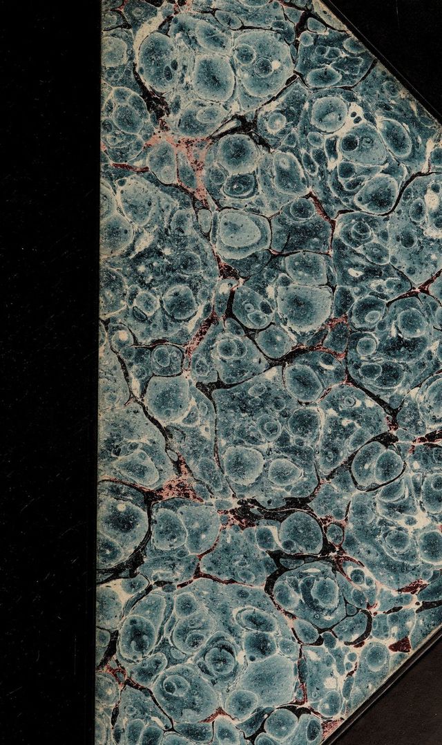 digitised image 1