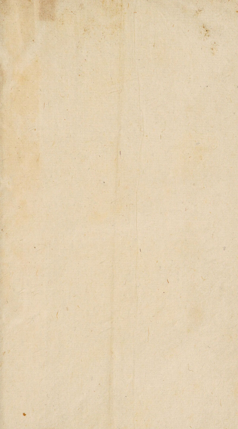 V ,v- . ï: , V . ■ . * $*■ c ' f c /