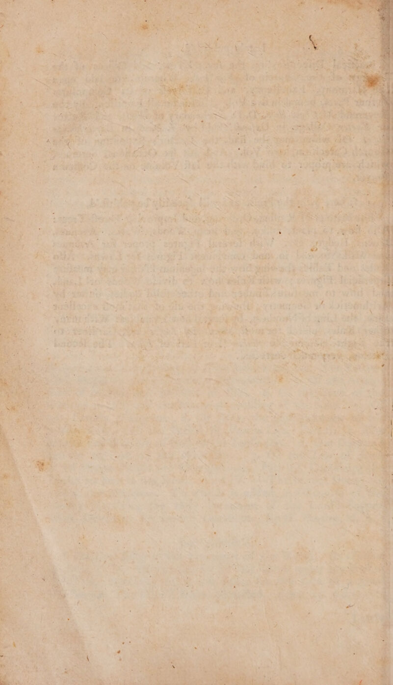 Het Fe RS ‘he no? Le foie aah mies ret pede % _ 4 ae de Are: ÉRAE te esi vf We shad) ant. RE TE: oh HIE gL MAAS at Abide : ds. ae au gia 73 qe FM) se es: “et % à ae sha Habe sh “Ye ra a: LL . LE ne Tl ah : ree à 4 DE RL | ET