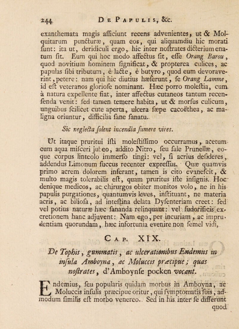 M4 D e Papulis, &c. exanthemata magis afficiunt recens advenientes 5 ut & Mol- quitarum punfturae, quam eos, qui aliquamdiu hic morati funt: ita ut, deridiculi ergo.,, hic inter noftratesdidteriumena¬ rum fit. Eum qui hoc modo affedtus fit, effe Orang Barou quod novitium hominem fignificat, & propterea culices, ac papulas fibi tributum, e-la&e, e butyro, quod eum devorave¬ rint , petere: nam qui hic diutius haeferunt, fe Orang Lamme, id efl veteranos gloriofe nominant. Haec porro moleftia, cum. a natura expellente fiat, inter affedtus cutaneos tantum recen- fenda venit: fed tamen temere habita, ut & morfus culicum, unguibus fcilicet cute aperta, ulcera faepe cacoerhea, ac ma¬ ligna oriuntur , difficilia fane fanatu.. Sic neglecta folent incendia fumer e vires. Ut itaque pruritui ifti moleftiffimo occurramus , acetum- cum aqua mifceri jubeo, addito Nitro, fen fale Prunellae, eo» que corpus linteolo immerfo tingi: vel, fi acrius defideres, addendus Limonum fuccus recenter expreffus. Quae quamvis primo acrem dolorem inferant, tamen is cito evanefcit, & multo magis tolerabilis efl, quam pruritus ifle infignis. Hoc: denique medicos, ac chirurgos obiter monitos volo, ne in his papulis purgationes, quantumvis leves, inflituant, ne materia acris, ac biliofa, ad inteflina delata Dyfenteriam creet: fed vel potius naturae haec fananda relinquant: vel fudorificis exr cretionem hanc adjuvent: Nam ego, per incuriam , ac impru* dentiam quorundam, haec infortunia evenire non femel vidi, Gap., XIX, De Tophis, gummatis, ac ulcerationibus Endemiis in infula Amboyna, ac Moluccis praecipue; quas noftrates, cEAmboynfe pocken vocant. Endemius, feu popularis quidam morbus in Amboyna, ac Moluccis infulis praecipue oritur, qui fymptomatis fuis, ad¬ modum, fimifis efl morbo venereo.. Sed in his inter fe differant