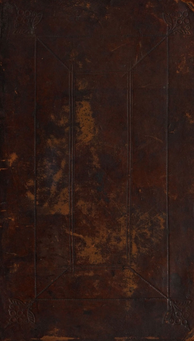 No text description is available for this image