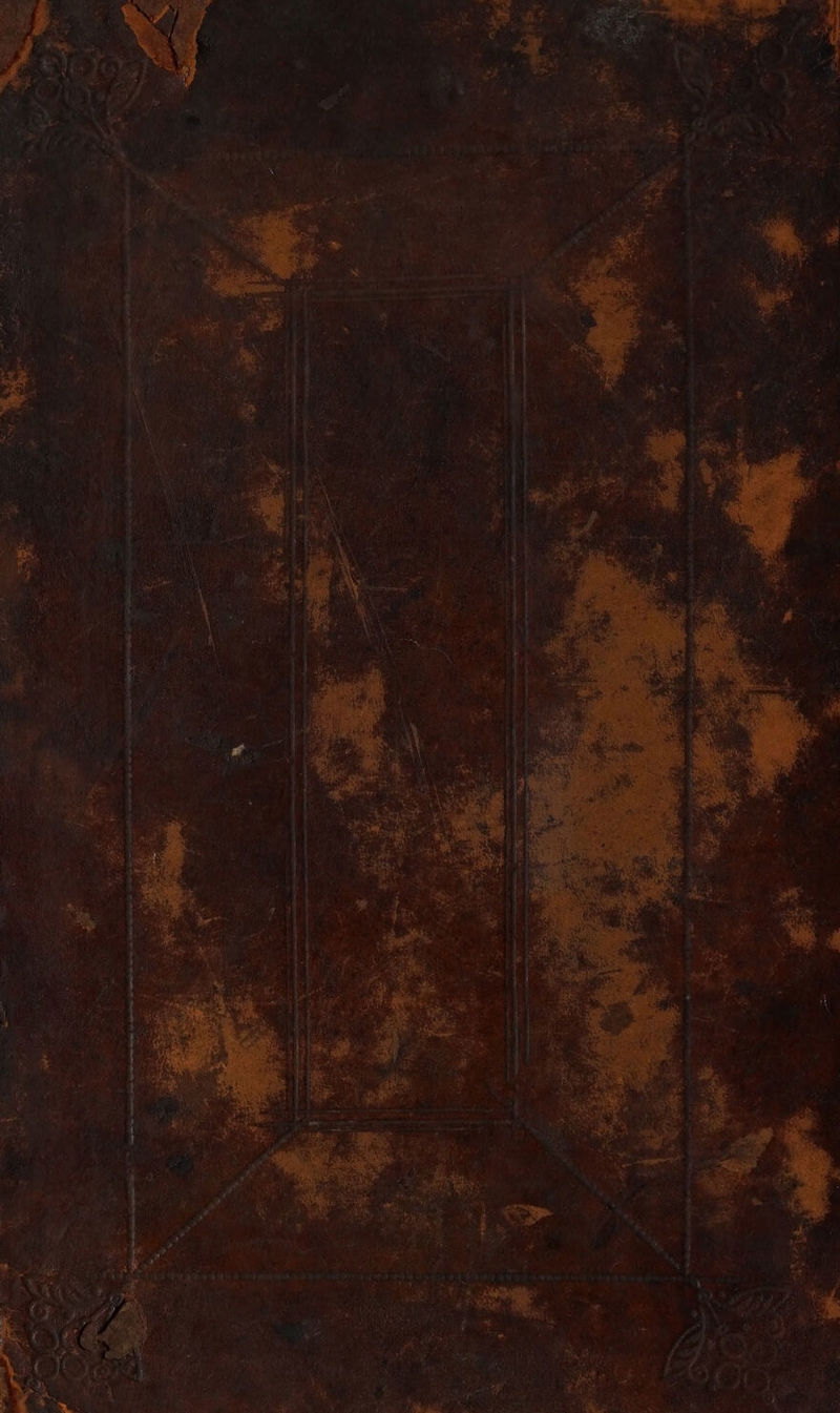 No text description is available for this image