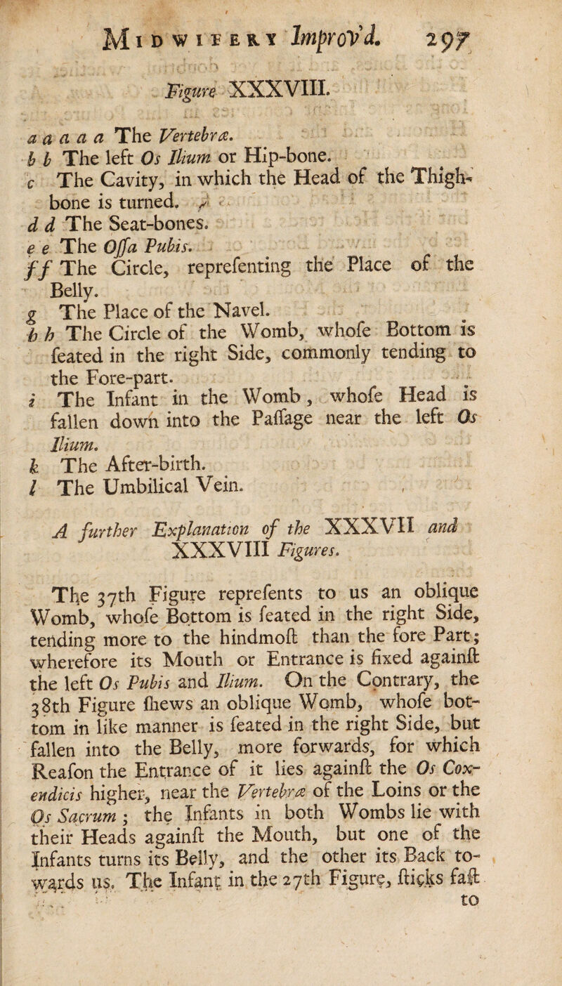 v • *■ Jr’; r t/, r\ ■ . ... , /. -w . . , . .. i Figure XXXVIIL a a a a a The Vertebra, b b The left Os Ilium or Hip-bone. c The Cavity, in which the Head of the Thigh¬ bone is turned. J d d The Seat-bones. e e The Off a Pubis. ff The Circle, reprefenting the Place of the Belly. g The Place of the Navel. h h The Circle of the Womb, whofe Bottom is feated in the right Side, commonly tending to the Fore-part. i The Infant in the Womb, whofe Head is fallen down into the Paffage near the left Os Ilium. k The After-birth. / The Umbilical Vein. A further Explanation of the XXXVII and XXXVIII Figures. The 37th Figure reprefents to us an oblique Womb, whofe Bottom is feated in the right Side, tending more to the hindmoft than the fore Part ; wherefore its IMouth or Entrance is fixed againft the left Os Pubis and Ilium. On the Contrary, the 38th Figure ftiews an oblique Womb, whofe bot¬ tom in like manner is feated in the right Side, but fallen into the Belly, more forwards, for which Reafon the Entrance of it lies againft the Os Cox- endicis higher, near the Vertebra of the Loins or the Os Sacrum ; the Infants in both Wombs lie with their Heads againft the Mouth, but one of the Infants turns its Belly, and the other its Back to¬ wards us. The Infant, in the 27th Figure, flicks faft