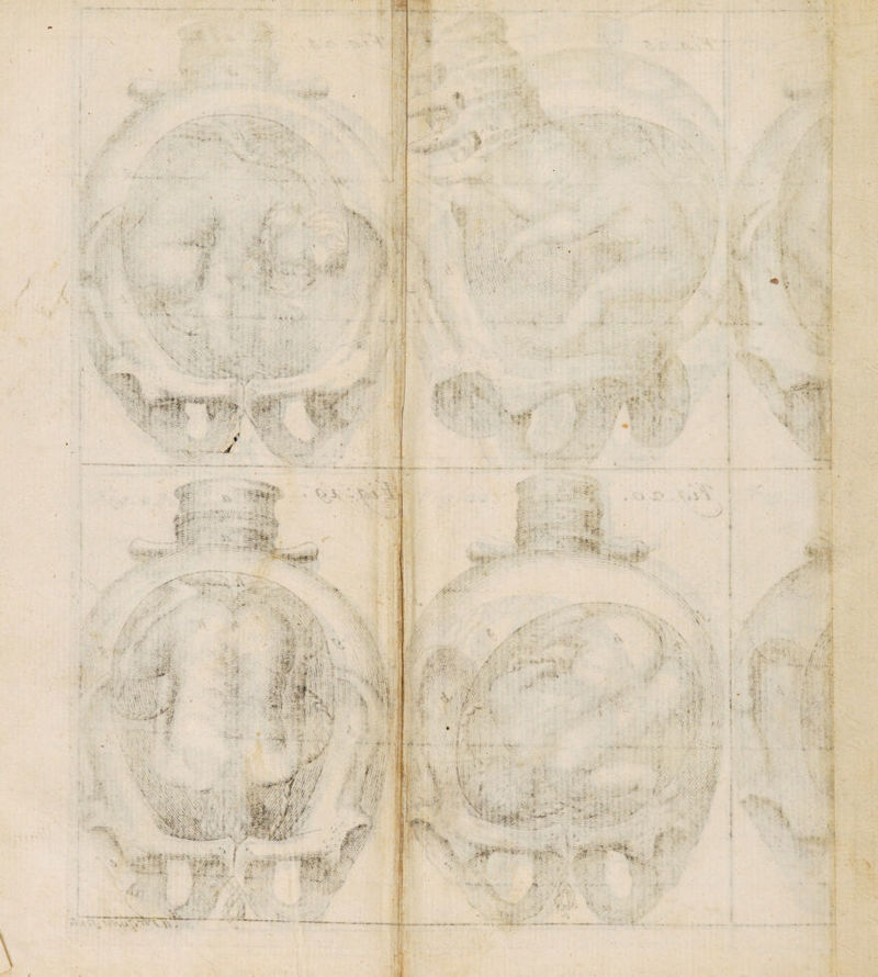 No text description is available for this image