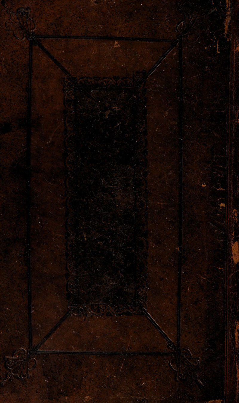 No text description is available for this image