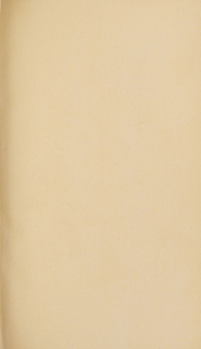 * A: x \ ‘ » i j 's 1. ~ 4 ‘ : 4 oh “ . ¥ , ~ E Te ;