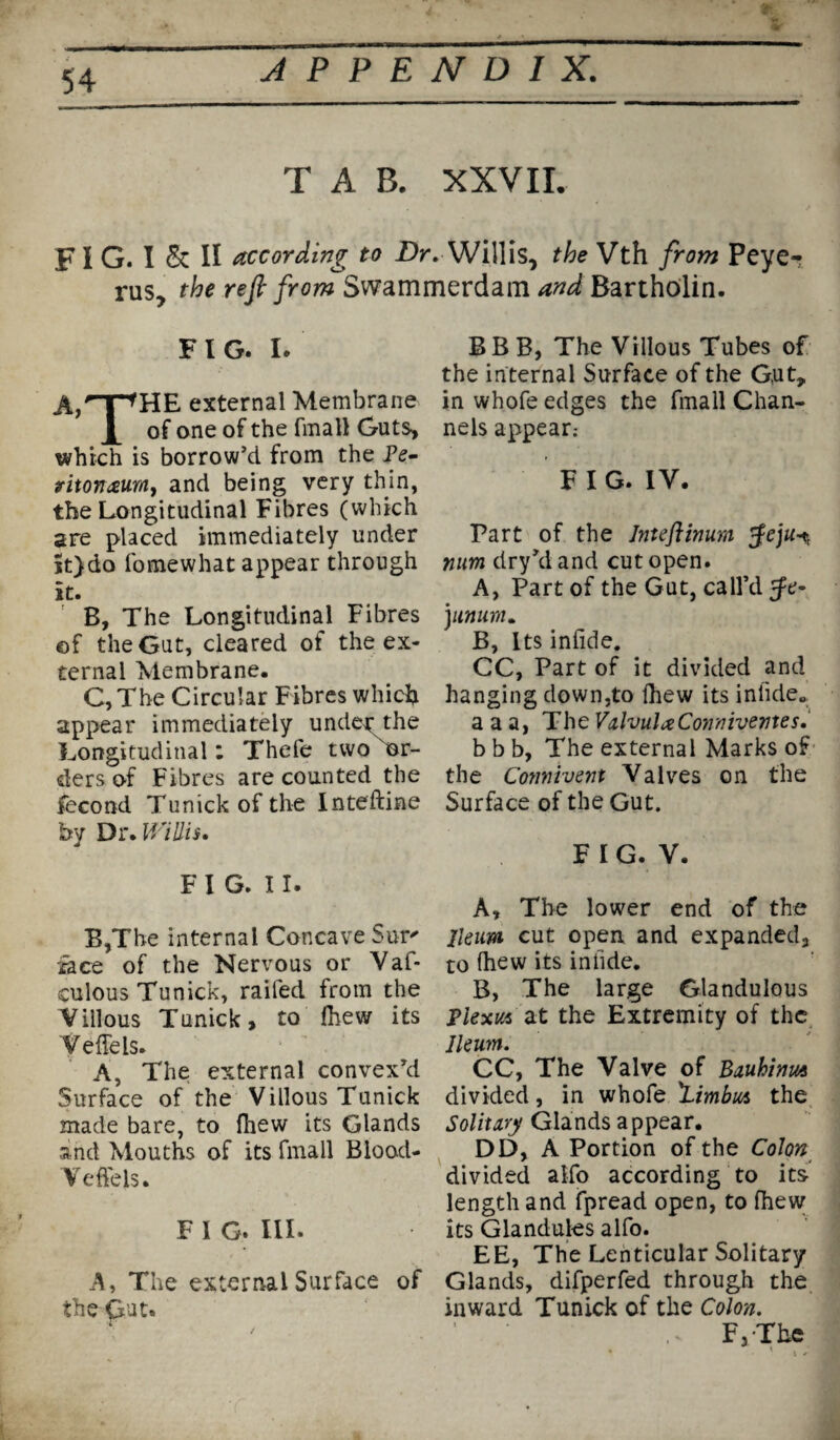 * T A B. XXVII. FI G. I & II according to Dr. Willis, the Vth from Peye- Yusy the refi from Swammerdam Bartholin. FIG. I. A,nTfHE external Membrane of one of the fmall Guts, which is borrow’d from the JPe- r it on mm, and being very thin, the Longitudinal Fibres (which are placed immediately under it}do fomewhat appear through it. B, The Longitudinal Fibres of the Gut, cleared of the ex¬ ternal Membrane. C, The Circular Fibres which appear immediately under the Longitudinal: Thele two or¬ ders o-f Fibres are counted the fecond Tunickofthe Inteftine by Dr. Willis. F I G. 11. B,Tbe internal Concave Sur' face of the Nervous or Vaf- culous Tunick, railed from the Villous Tunick, to fhew its Veffels. A, The external convex’d Surface of the Villous Tunick made bare, to fhew its Glands and Mouths of its fmall Bload- Veffels. F I G. III. A, The external Surface of the Gut. BB B, The Villous Tubes of the internal Surface of the Gut, in whofe edges the fmall Chan¬ nels appear.- F I G. IV. Part of the Jnteflinum $eju*t mim dry’dand cut open. A, Part of the Gut, call’d j uttum. B, Its infide. CC, Part of it divided and hanging down,to fhew its infide. a a a, The ValvulxConnivemes. b b b, The external Marks of the Comrivent Valves on the Surface of the Gut. F I G. V. A, The lower end of the Ileum cut open and expanded, to (hew its inlide. B, The large Glandulous piexu& at the Extremity of the Ileum. CC, The Valve of Bauhinus divided, in whofe 'Limbus the Solitary Glands appear. DD, A Portion of the Colon divided alfo according to its length and fpread open, to fhew its Glandules alfo. EE, The Lenticular Solitary Glands, difperfed through the inward Tunick of the Colon. .. F3 The • ■ , /