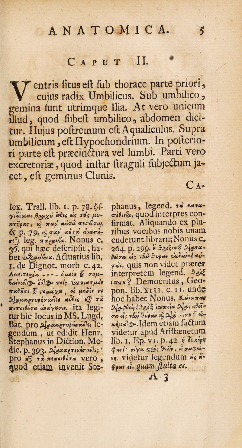 # Caput II. Ventris lituseft fub thorace parte prioris cujus radix Umbilicus. Sub umbilico, gemina iunt utrimque ilia. At vero unicum illud, quod iubeft umbilico 5 abdomen dici¬ tur. Hujus poftremum eft Aqualiculus, Supra umbilicum 3 eft Hypochondrium. In pofterio- ri parte eft praecindiira vel lumbi. Parti vero excretoriae, quod inftar ftraguli fubjeUum ja¬ cet , eft geminus Clunis. lex. Trall. lib. i. p. 78. ζ*|- ytfcepsβ&χ,ν «ί μυ- χτΥί^οίς , uvrx‘XSTeirsi^f & p. 79. xj πχρ χυτοί cevet?yT rsj. leg. vcc&vfat. Nonus c. 36. qui hxc defcripfit, ha¬ bet v&mvTIxX' AdUarius lib. 1. de Dignot· morb c.42. Amvrt&t x - - - - of/ioix § (rv/x- ίοΜνοϋ®» ovldjb τοίς \z?Ti&<rpoi TrxQScrt £ Γομ,χχ,χ , e< fnjiev t< &ΐ£.(ΧΜξτυρνισ·χ*]ζ9 χΰθίς ιί§ τλ ζτίτονβότο6 xvo6y%<riv> itE legi- tur hic locus in MS. Lugd, Bat. pro le- endum , ut edidit Henr. tephanus in Didtion. Me* dic. p. 393. ^ΧΛξΤίρήτη^Ιίς * pro τλ TTSnronfieros VC1O 9 |Uod etiam iijvenit Stg- phanus, legend. ™ xxrx- πΜχ, quod interpres con¬ firmat. Aliquando ex plu¬ ribus vocibus nobis unam cuderunt librarii;Nonus c* 264. p. 299· $e4<7r* zl&r*- §ητλ ei<s τίυυ Tvpae*· enthei%.{ xv~ τ*ς. quis non videt praster interpretem legend. tznr* 9 Democritus 3 Geo* pon. lib. xt 11 en. unde hoc habet Nonus. cru, «s τ{ω 9'upuv Jij 't'^crii el‘* xip*\®*Adem etiam fadtum videtur apud Ariftaenetum lib. 1. Ep. vi. p. 42 v hxipn § Ari' iriytA , a σ·#φρό~ vn, videtur legendum »s «· u. quam fluita es,