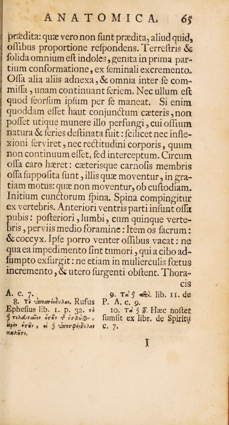 I ANATOMICA, 6$ prodita: quae vero non funt praedita, aliud quid, oflibus proportione refpondens.Terreftris & folida omnium eft indoles, genita in prima par¬ tium conformatione, ex feminali excremento* Offa alia aliis adnexa , & omnia inter fe com- miffa, unam continuant feriem. Nec ullum eft quod feorfum ipfum per fe maneat Si enim quoddam effet haut conjundhim caeteris,non ί pollet utique munere illo perfungi, cui oflium natura & feries deftinata fuit: fcilicet nec infle- ' xioni ferviret,necredbtudinicorporis, quum non continuum effet fed interceptum. Circum offa caro haeret: caeterisque carnofis membris offa fuppofita funt, illis quae moventur, in gra¬ tiam motus: quae non moventur, ob affodiam* Initium cundtorum fpina. Spina compingitur ex vertebris. Anteriori ventris parti infunt offa nubis: pofteriori,lumbi, cum quinque verte- oris, perviis medio foramine: Item os facrum: & coccyx. Ipfe porro venter oflibus vacat: ne qua ea impedimento fint tumori, qui a cibo ad- fumpto exflirgit: ne etiam in mulierculis foetus incremento, & utero furgenti obftent. Thora¬ cis A. c. 7. 8. Τί ναζαχτόν$νλ0ν, Rllfus Epheiius lib. i. p. 32. r9 j) ηλάύταχον CWSv T5 GT$v(&* , Upov «ς-βκ j $l ij χκλνη. 9- τ* J lib. ii, d® P. A. c. 9. 10. t« J & Hasc noitet fumfit ex libr* de Spiritii c. 7, I