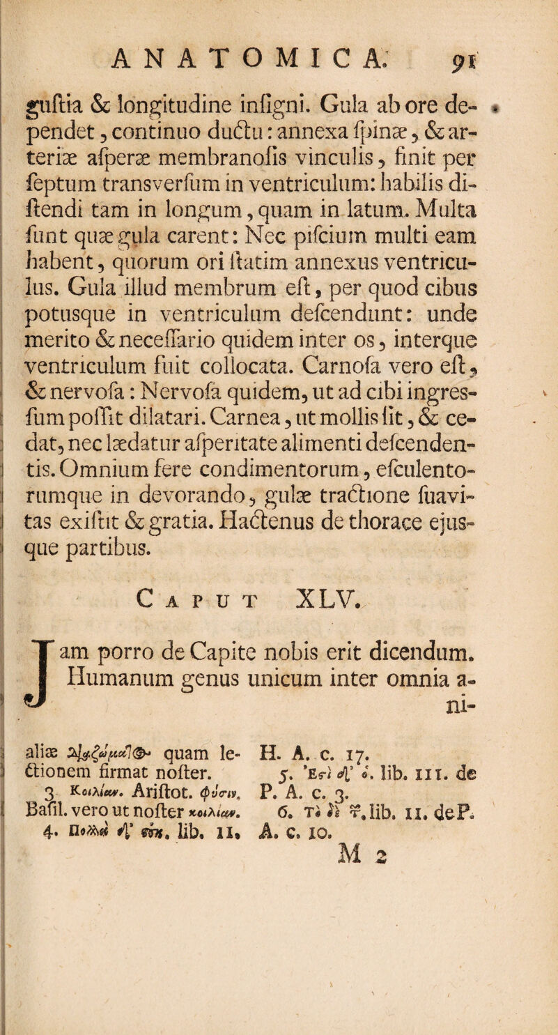 ANATOMICA. η guftia & longitudine iniigni. Gula ab ore de- . pendet , continuo dudu: annexa ipinae , & ar¬ teriae afperae membranoiis vinculis , finit per feptum transveriimi in ventriculum: habilis di- ftendi tam in longum, quam in latum. Multa funt quae gula carent: Nec pifciuin multi eam habent, quorum ori itatim annexus ventricu¬ lus. Gula illud membrum efi;, per quod cibus potusque in ventriculum defcendnnt: unde merito &neceiTario quidem inter os, interque ventriculum fuit collocata. Carnofa vero eft 3 & nervofa: Nervofa quidem, ut ad cibi ingres- j fum poffit dilatari. Carnea, ut mollis fit, & ce- j dat, nec laedatur afperitate alimenti defcenden- j tis. Omnium fere condimentorum, eiculento- i rumque in devorando, gulae tradhone fuavi- 1 tas exiftit & gratia. Hadenus de thorace ejus» | que partibus. Caput XLV. Jam porro de Capite nobis erit dicendum. Humanum genus unicum inter omnia a- ni. ali se quam le- j dtionem firmae noiter. Λ τΓ _.. / A .-rL _ ^ J. i 3 Κοιλία*. Ariitot. ^ i Bafil. vero ut noiter κοιλιά. Η. A. c. 17. 5. *£«■< 4’ «· lib. in. de P. A. c. 3. 4. 4’ lib. 11·
