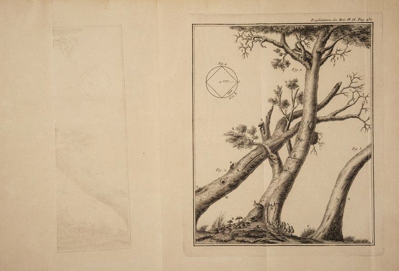 < : * æploiùzàorv dos flots PI IX■ P&J/ /f,3o.